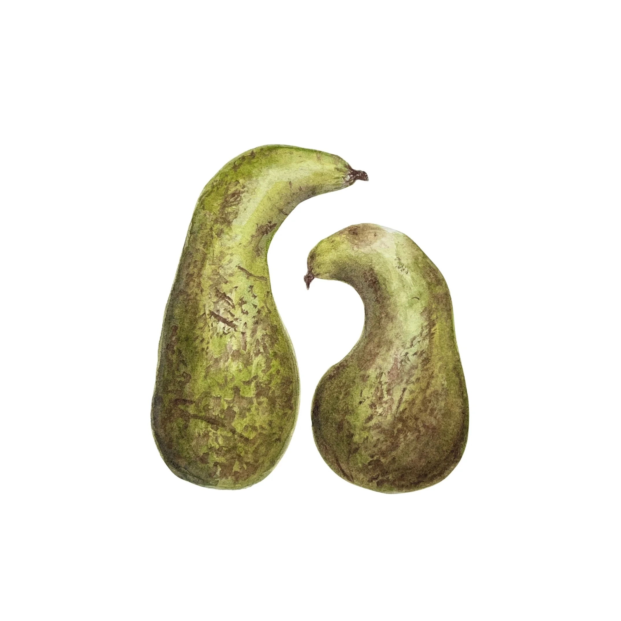 pears