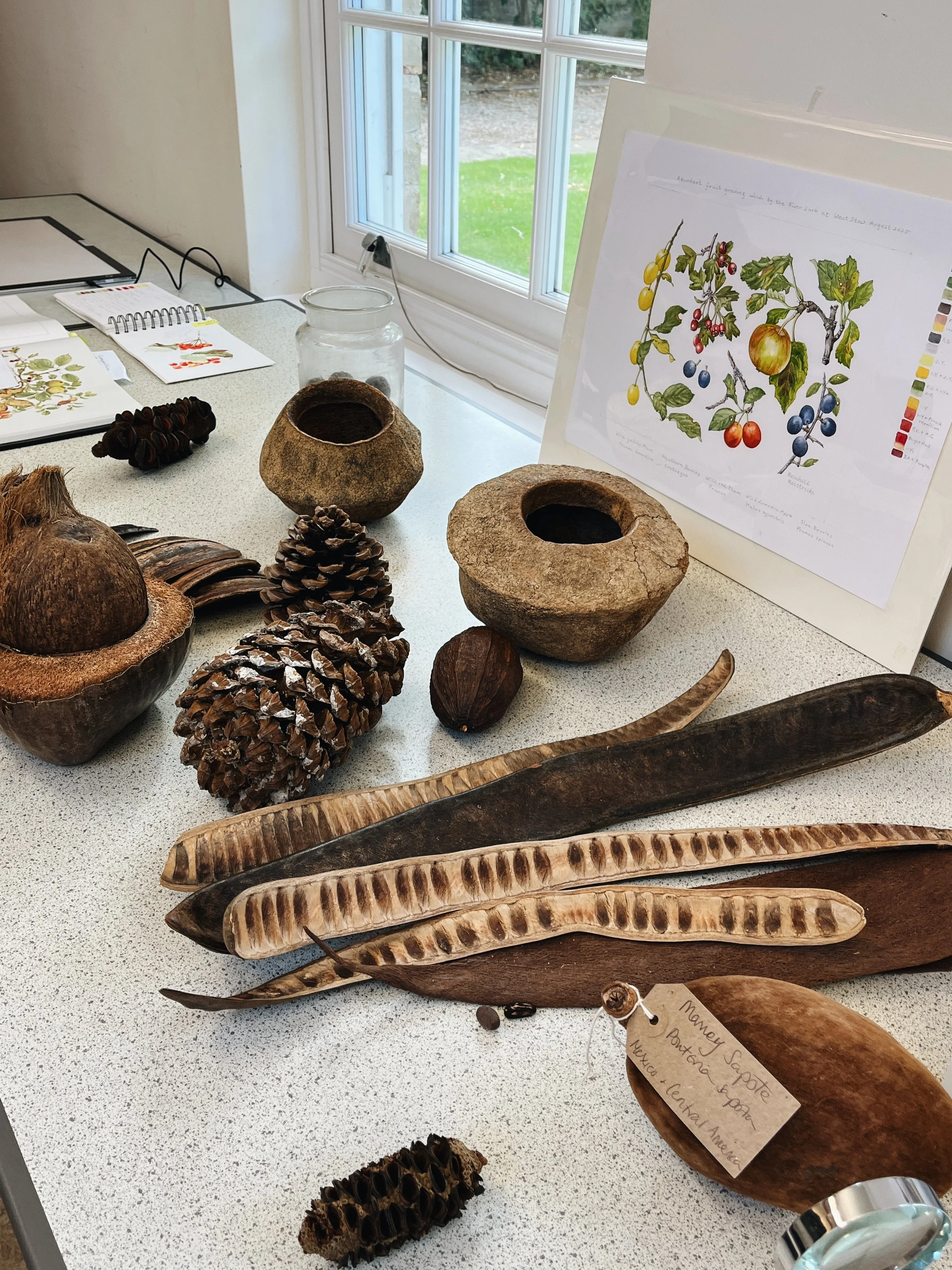 Class Reflection: Fruit, Berries &amp; Seedheads with Reinhild Raistrick SBA