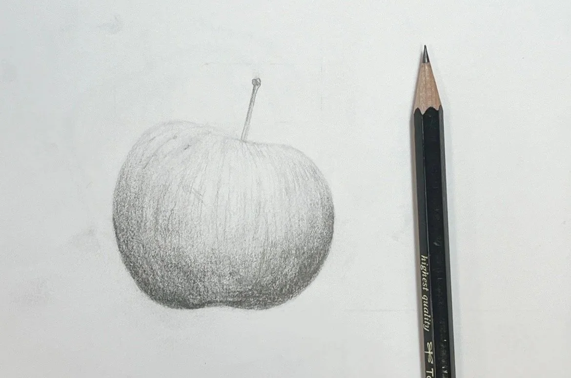 Class Reflection: RBGE Introduction to Botanical Drawing