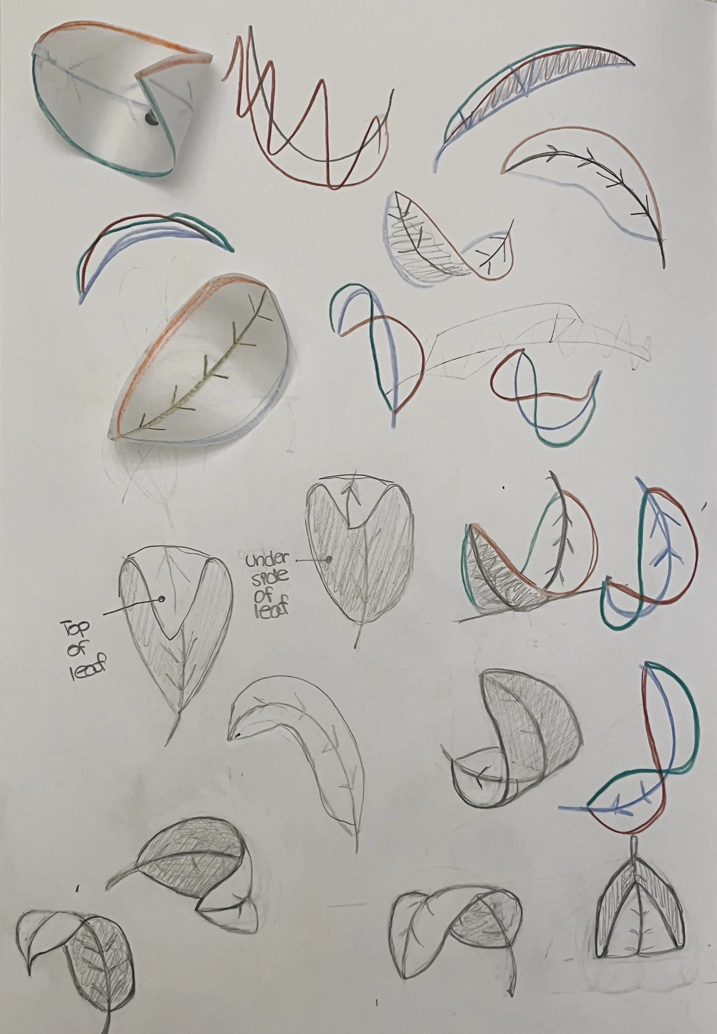 U1Act4(1)_TAllan.jpg.jpg