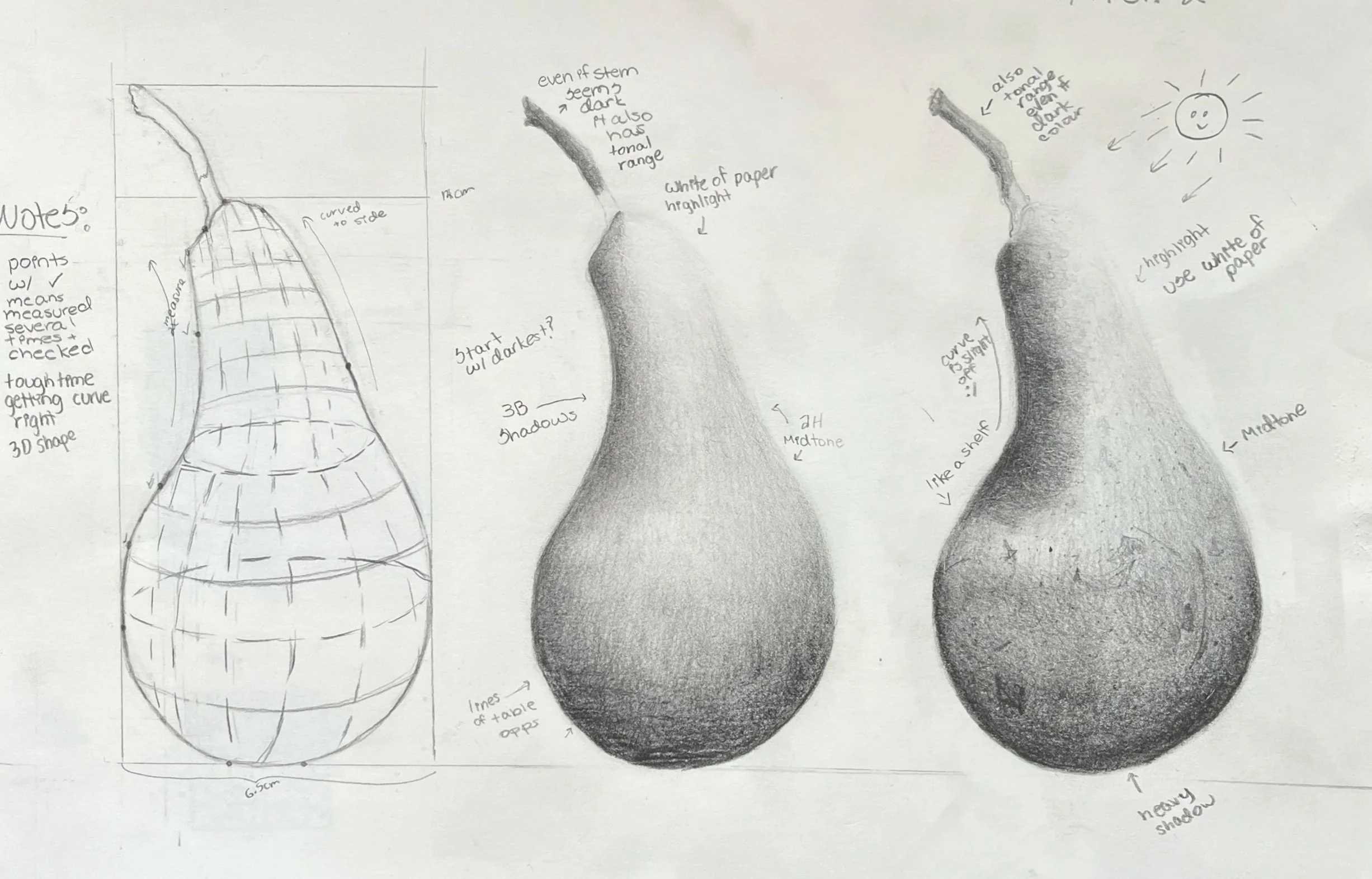 RBGE Botanical Illustration Certificate: Unit 2 Reflection