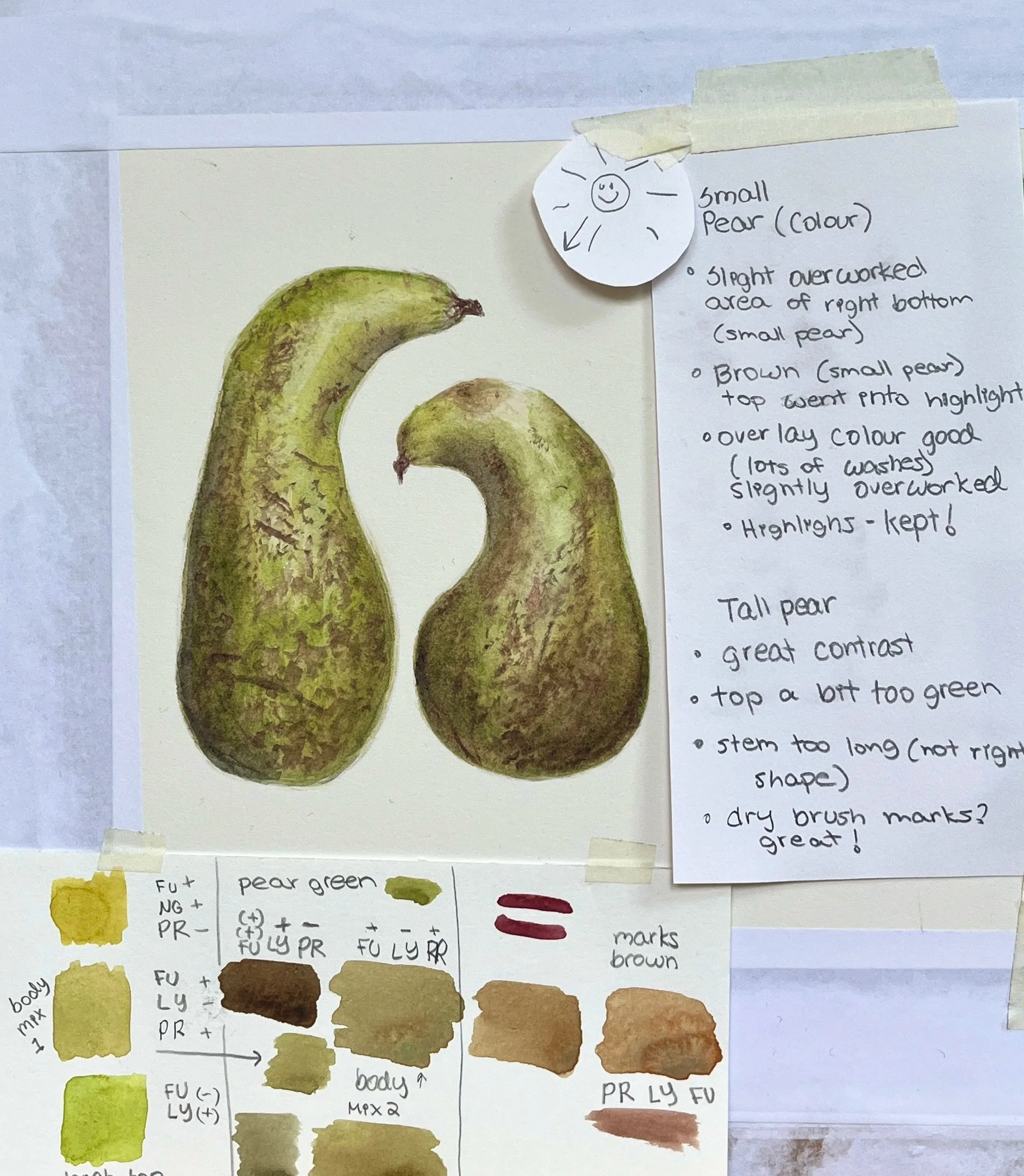 RBGE Botanical Illustration Certificate: Unit 4 Reflection