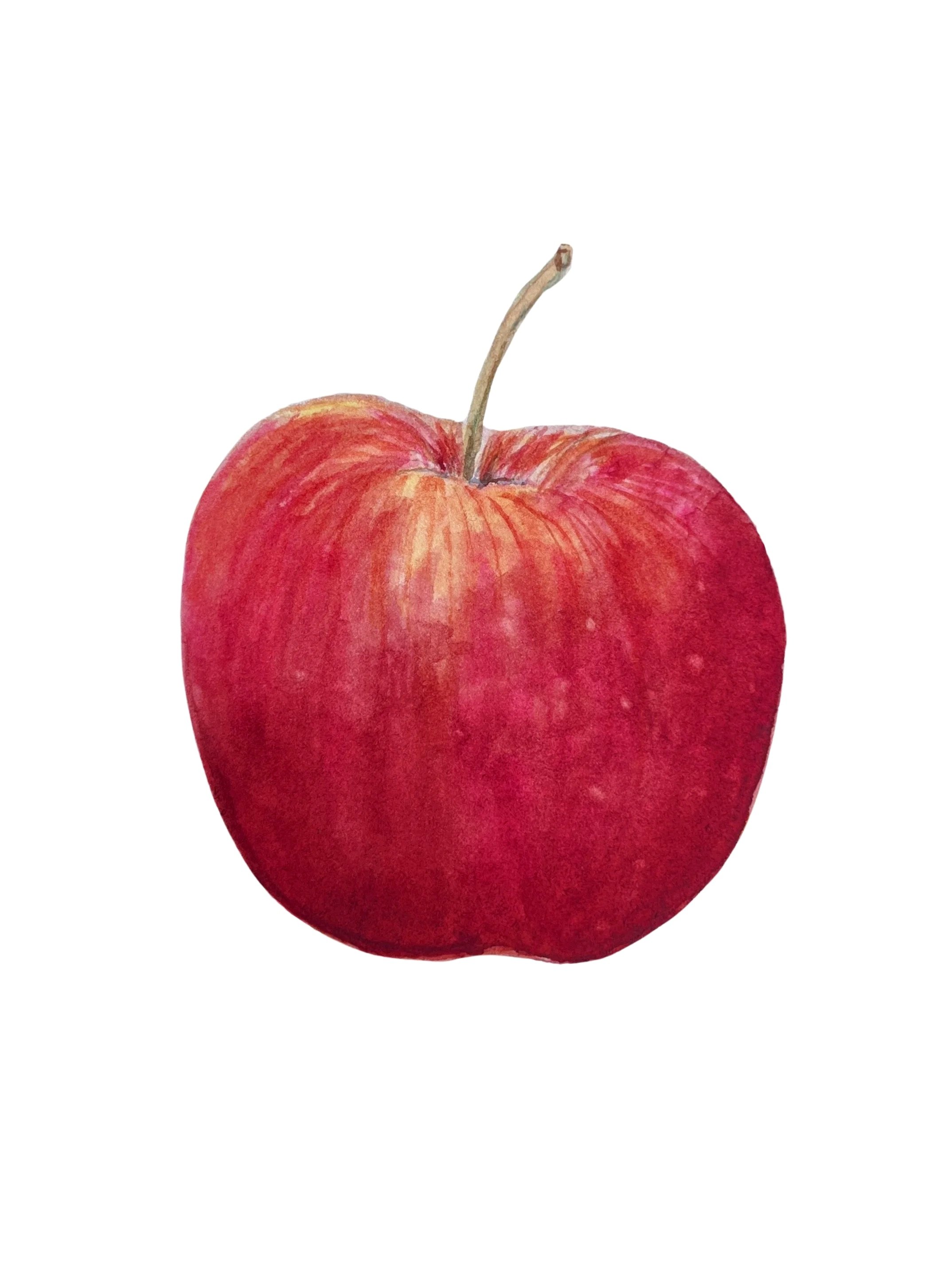 gala apple
