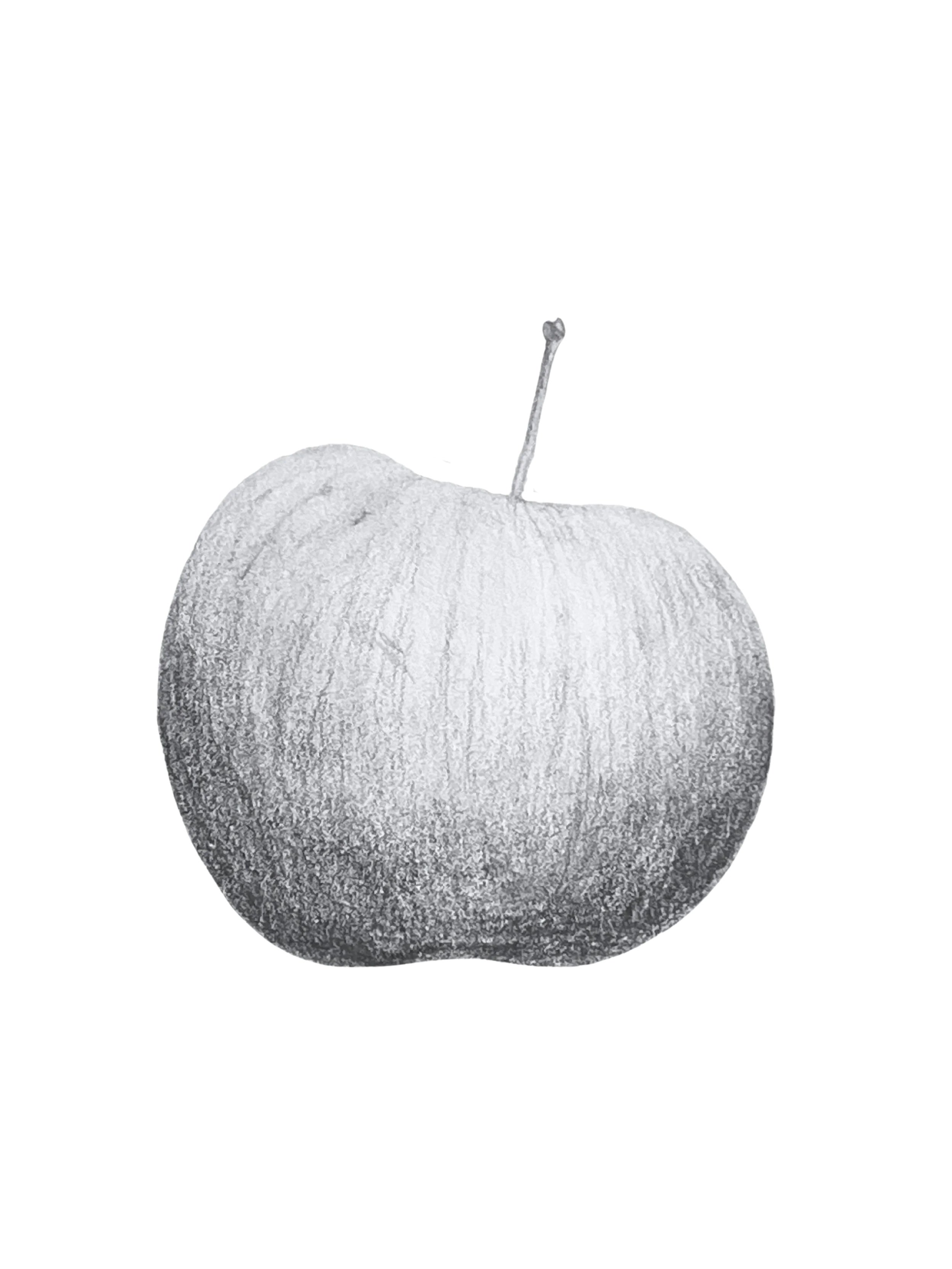 gala apple