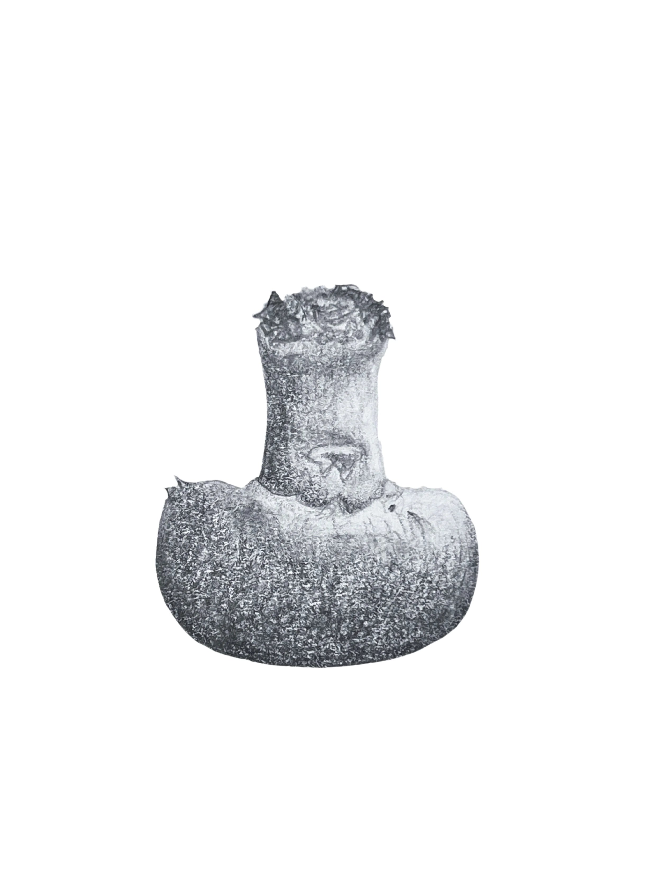 common mushroom