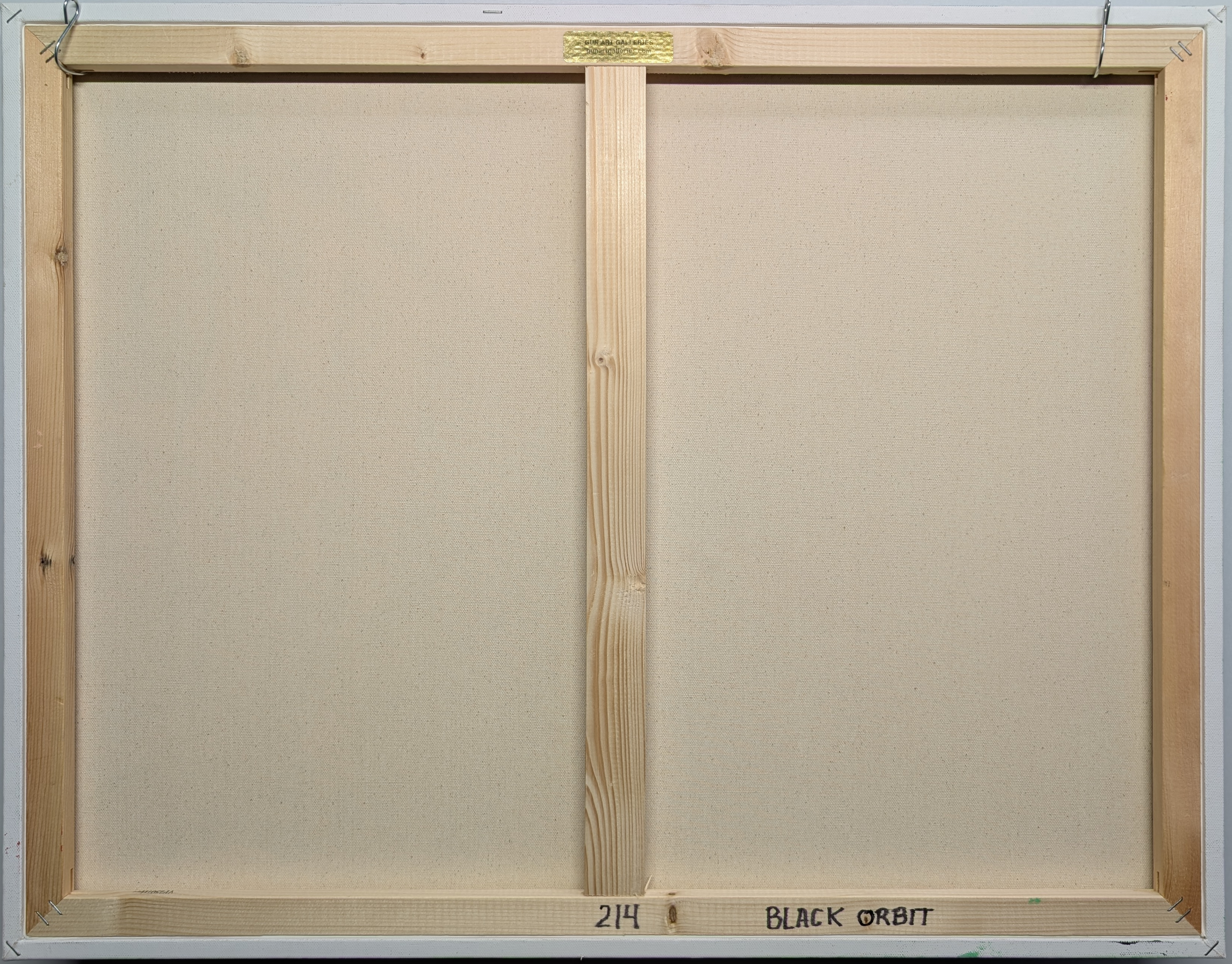 black orbit back.png