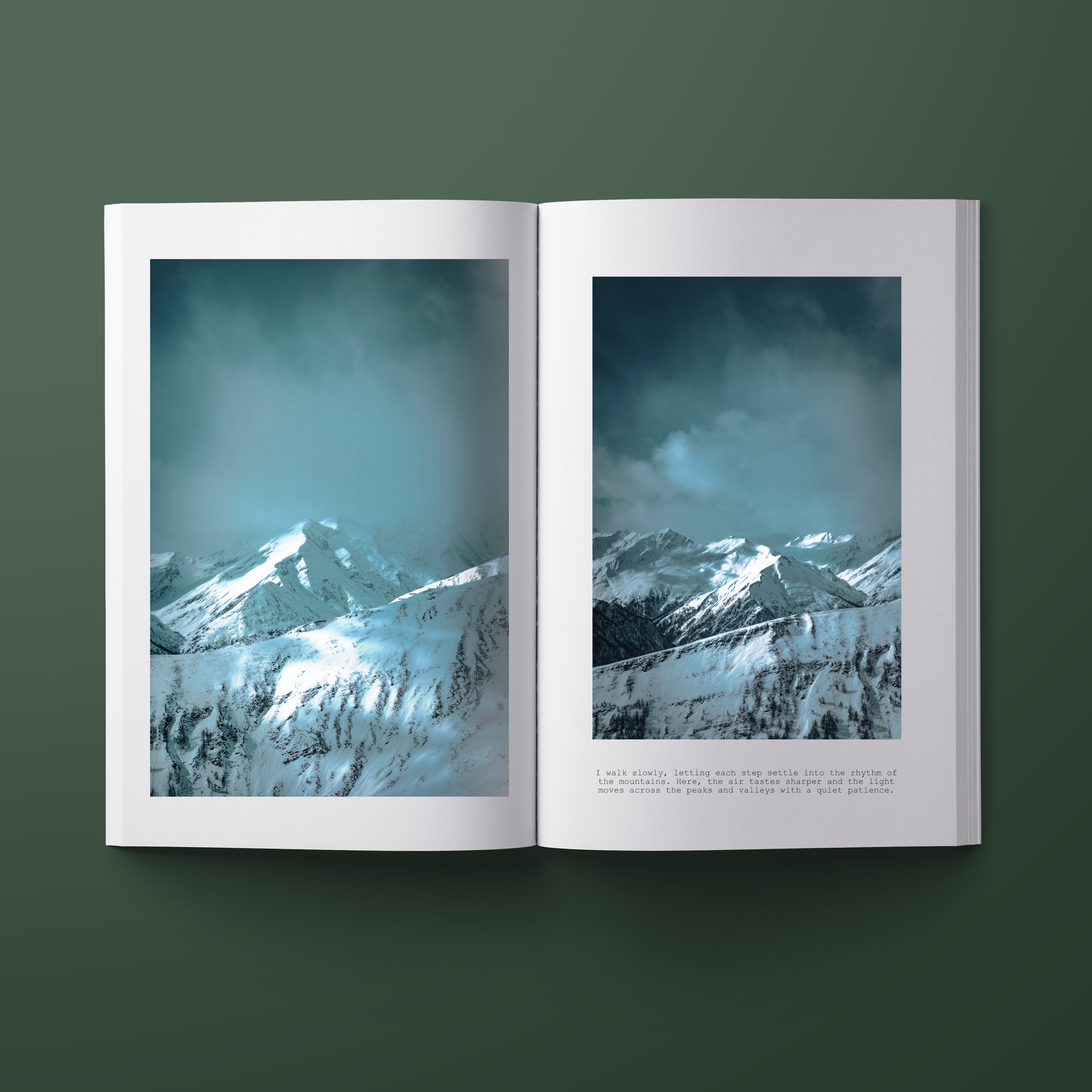 BOOK MOCKUP PAGE 3 4.png