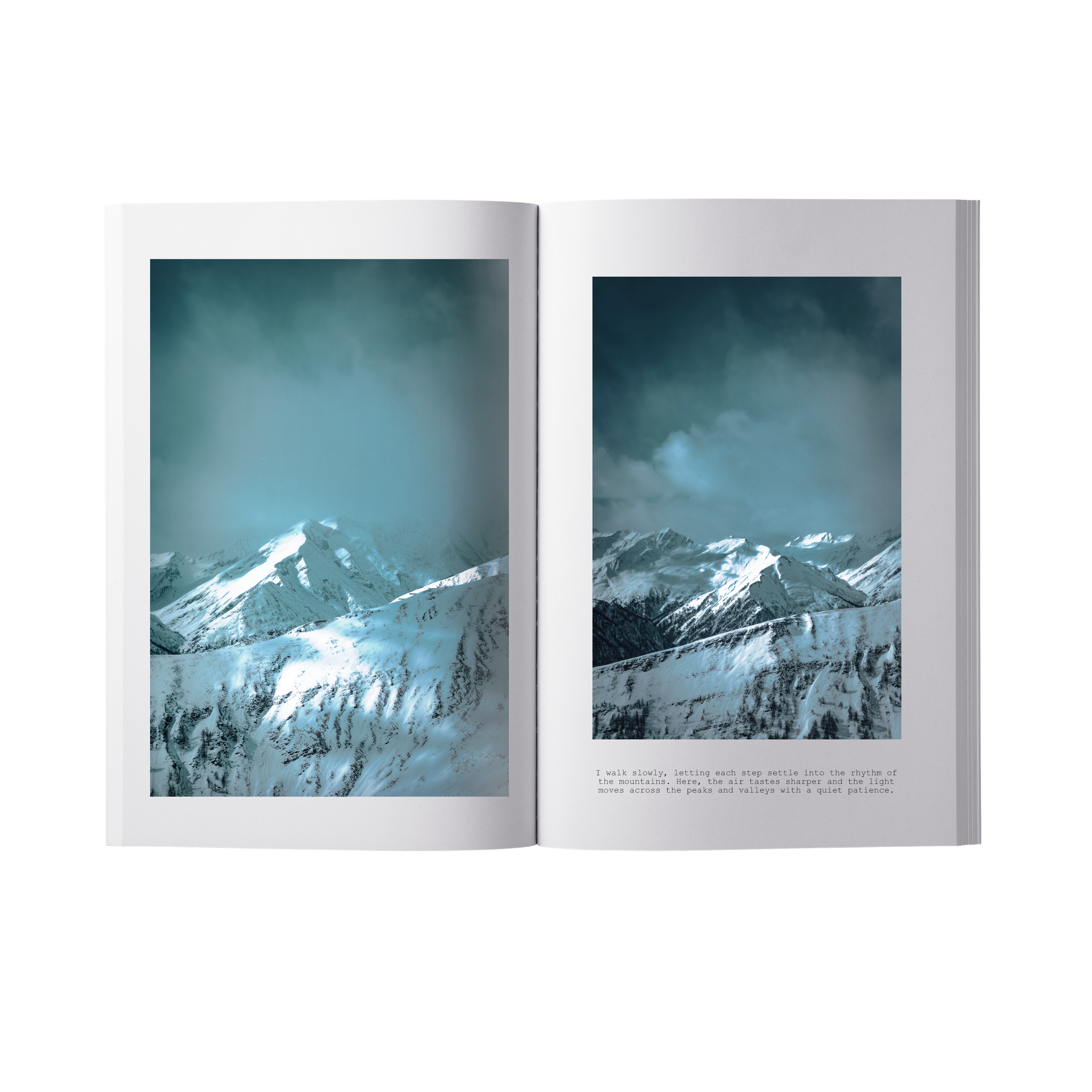 BOOK MOCKUP PAGE 3 4 transparent.png