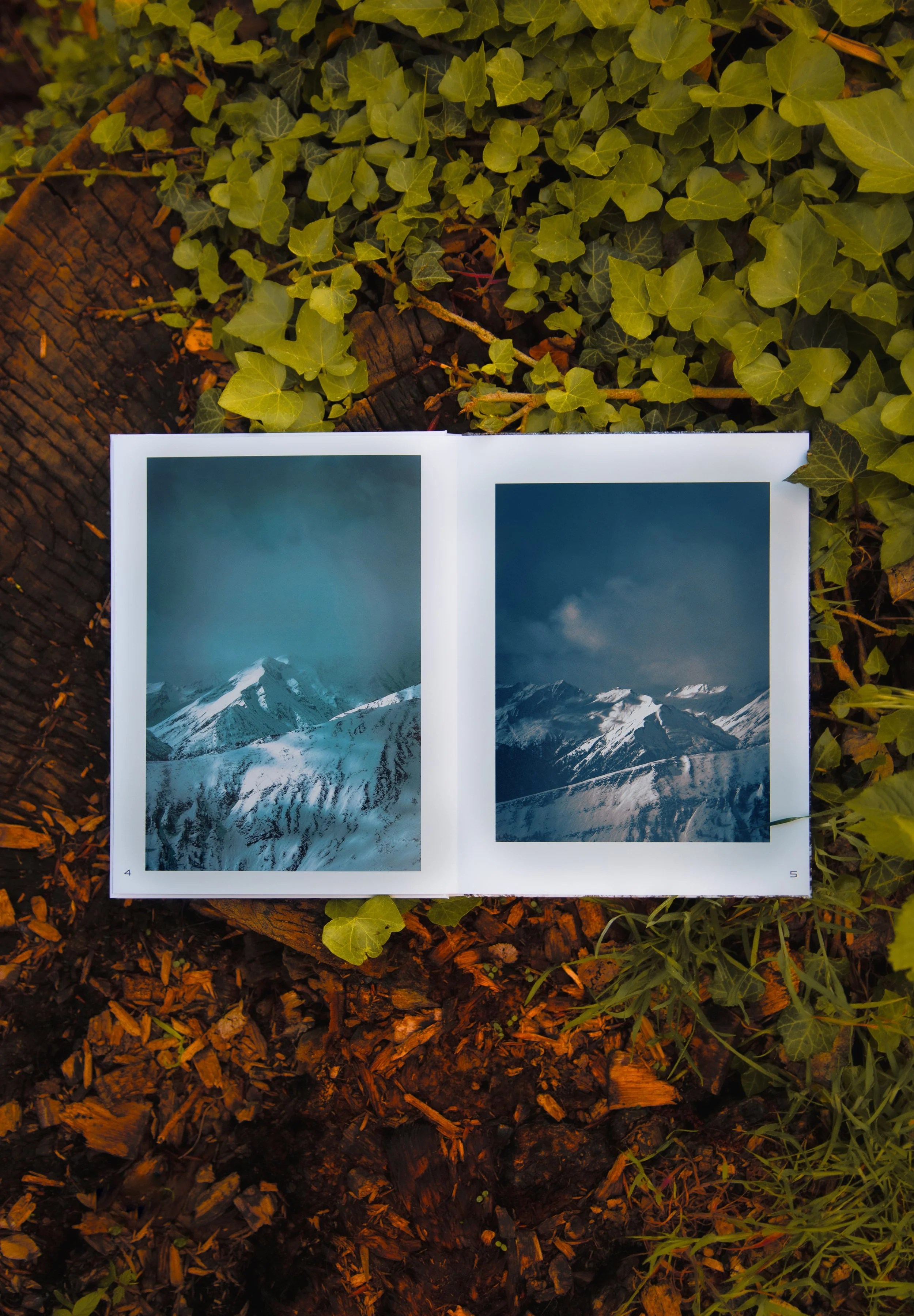 pages 4 and 5 Kopie 2.jpg