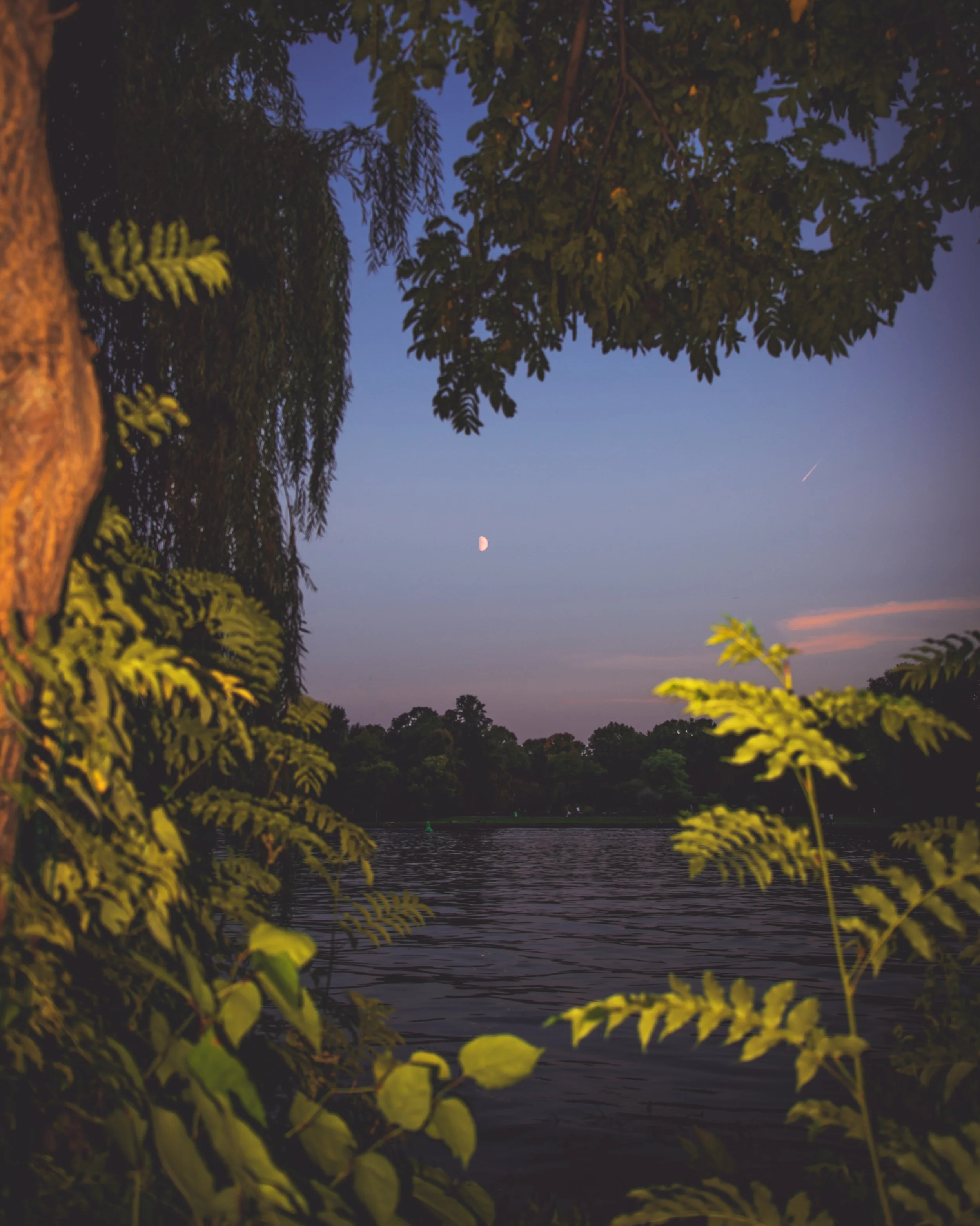 A lakeside view at dusk with trees and foliage in the foreground, the water reflecting the fading sky, a visible moon, and a faint shooting star.