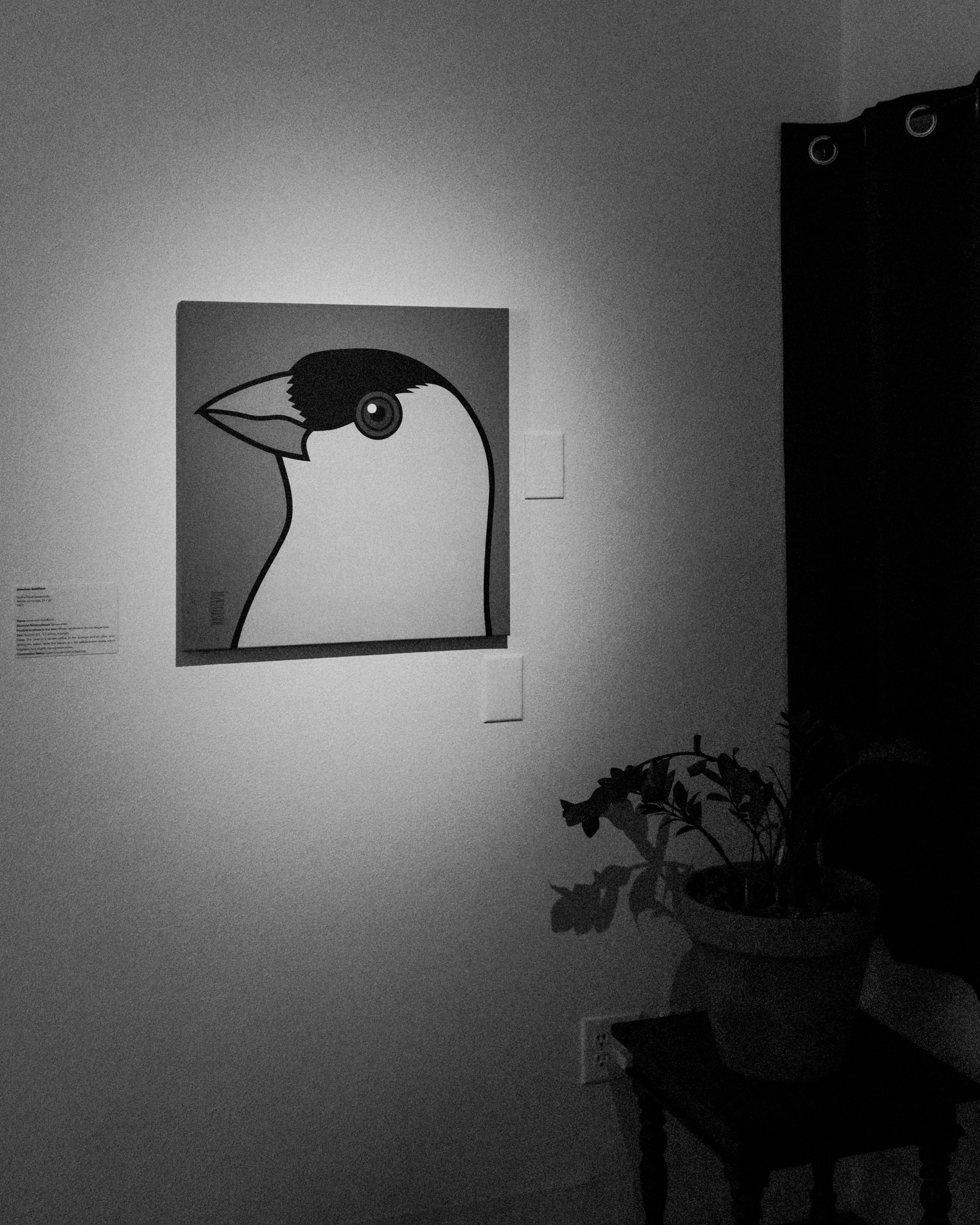 ChaseRMcCurdy_BIRDWATCHING_IandryRandriamandroso_ExhibitionOpening_33G_120525_iPadLR-09.JPG