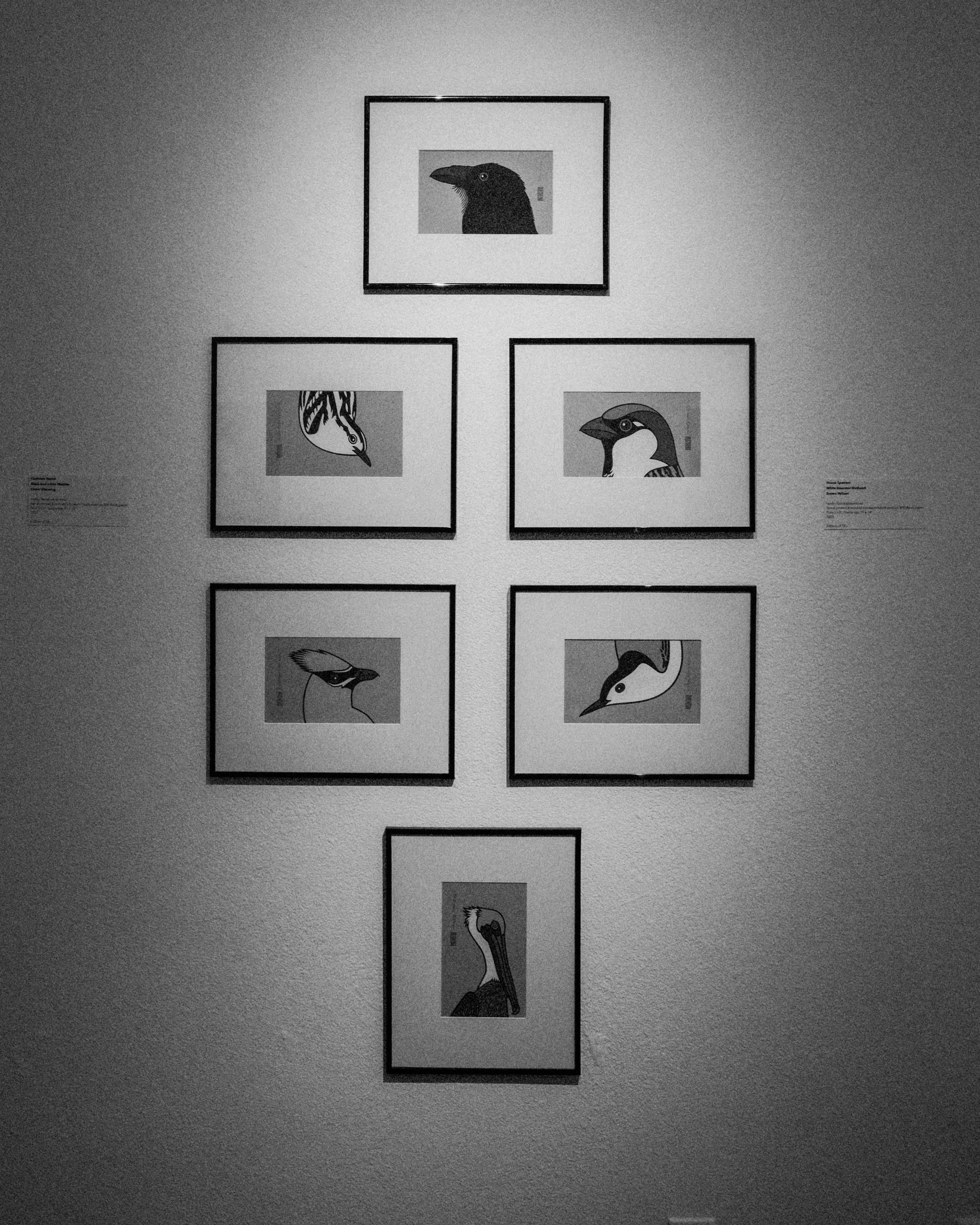 Collection of Hand-printed and colored Linoleum Block Prints, 2025 by Iandry