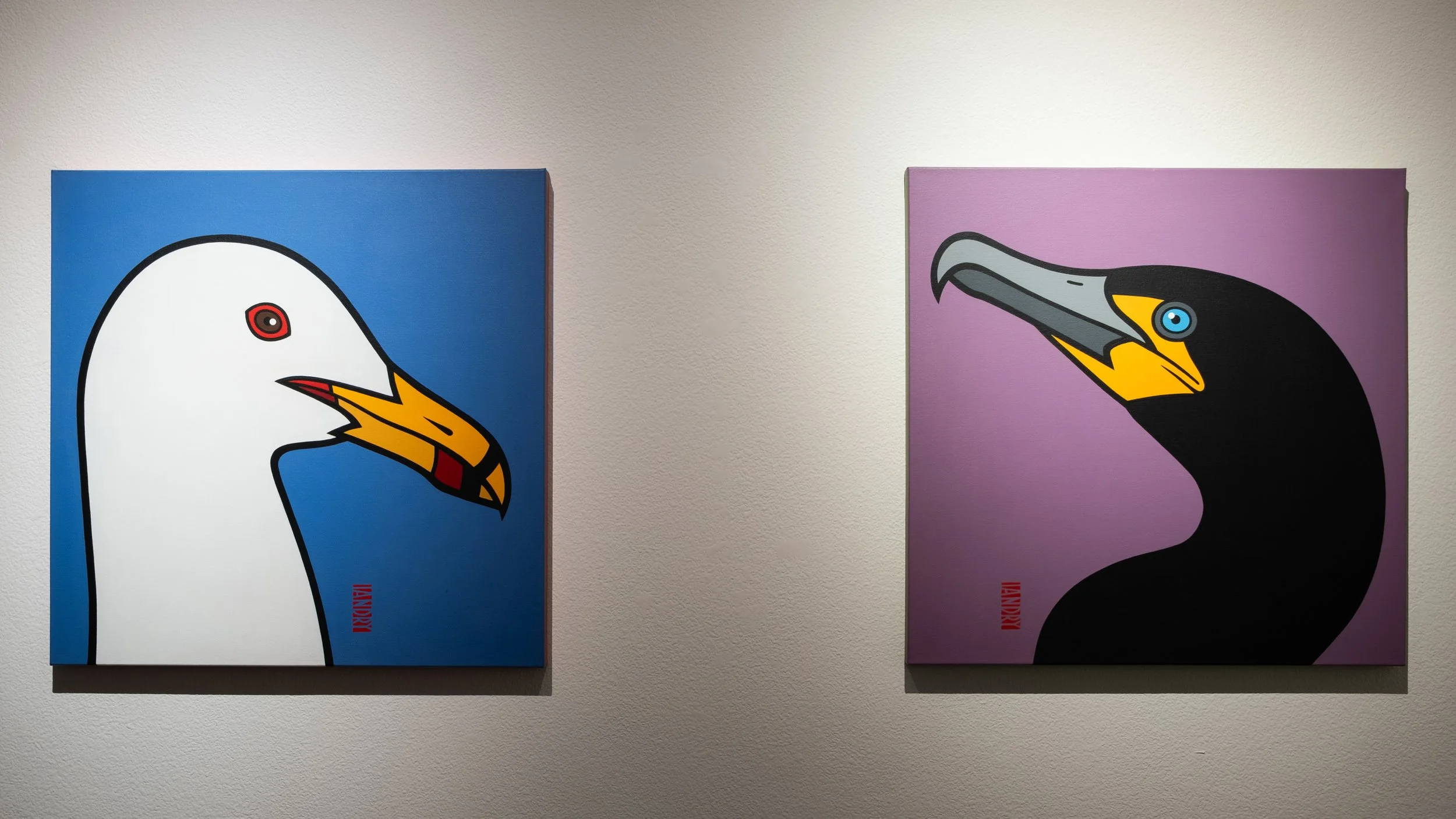 (L to R) "California Gull", "Double-crested Cormorant", 2025 by Iandry