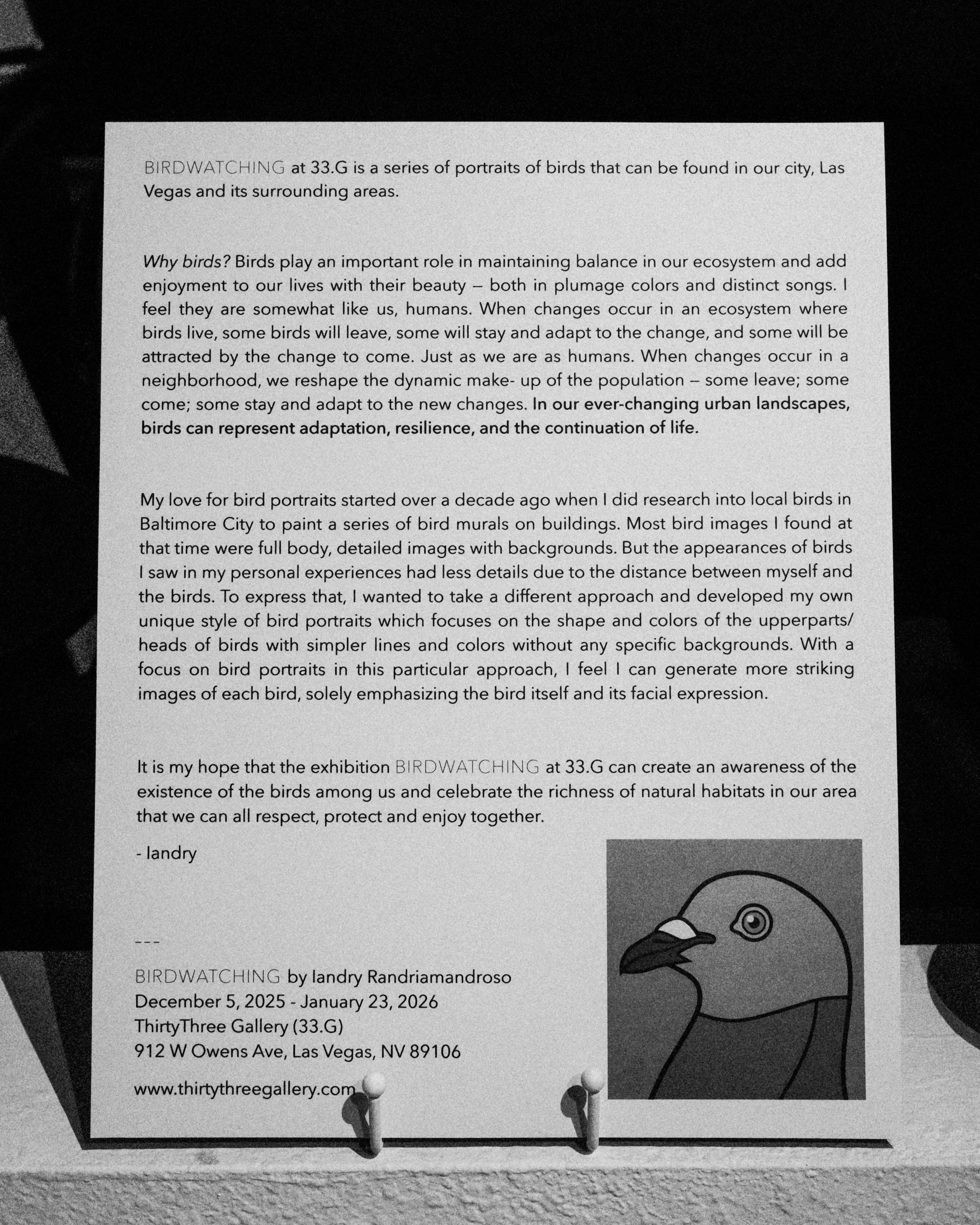ChaseRMcCurdy_BIRDWATCHING_IandryRandriamandroso_ExhibitionOpening_33G_120525_iPadLR-03.JPG