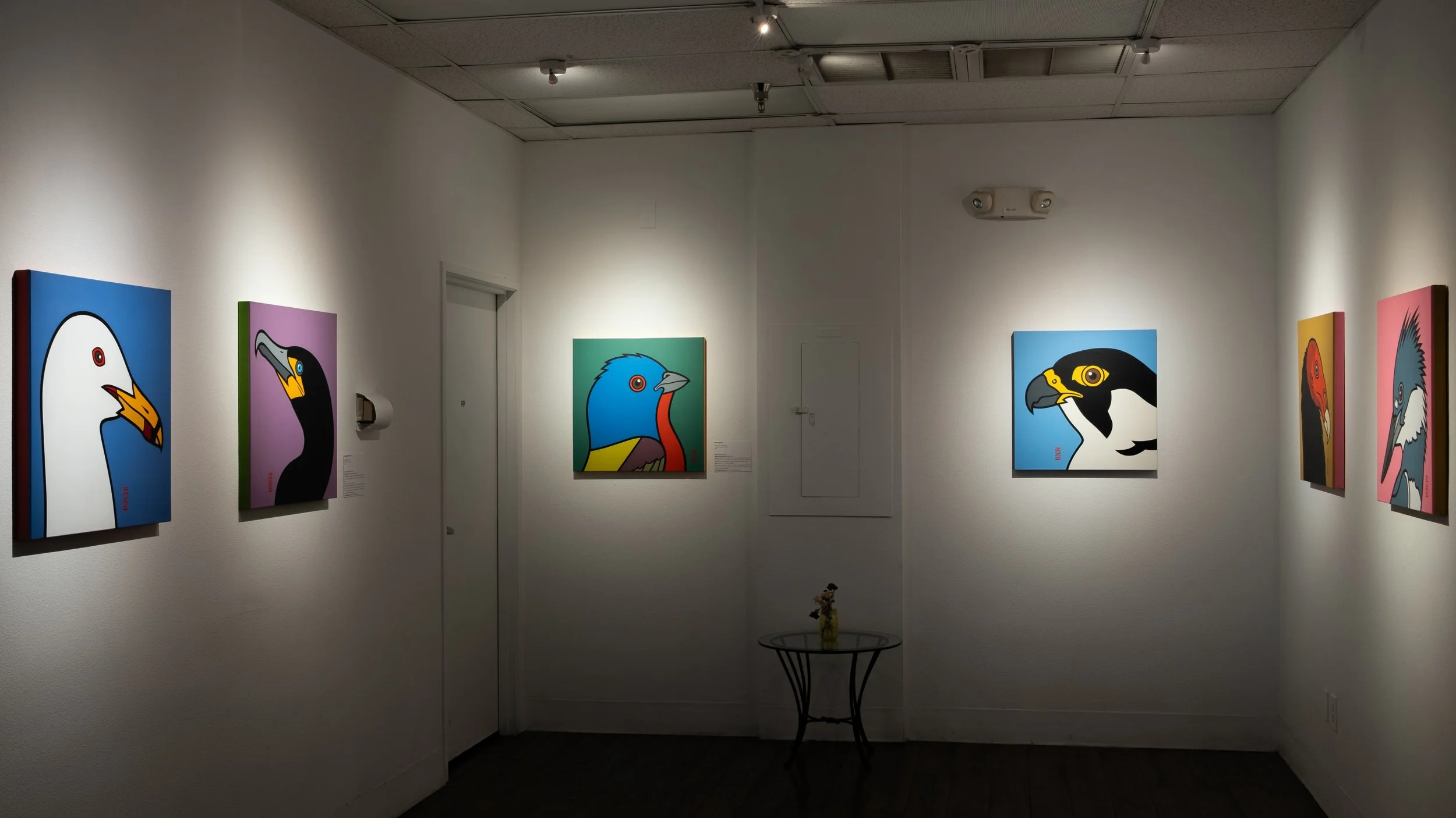 "BIRDWATCHING" Installation view