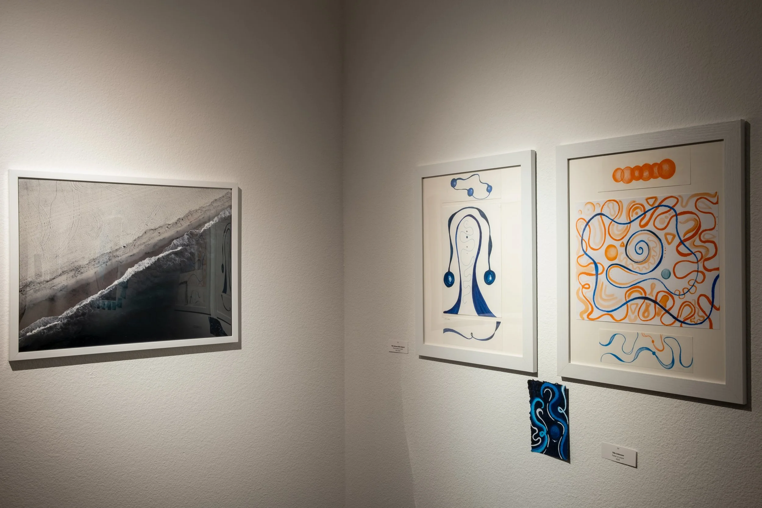 (L) "Keep it Going, Let it Flow", 2024 by Dionna Sharay Smith; (R) "Title Unknown (blue triptych), 2022-2023, "Title Unknown (blue and orange triptych)", 2023, "Title Unknown", 2024 by SV
