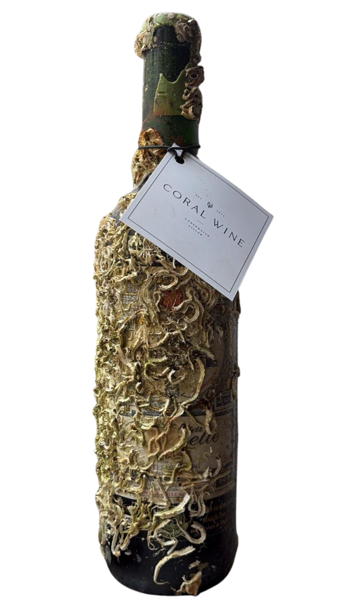 A wine bottle wrapped with dried coral or seaweed and a tag that reads 'Coral Wine' hanging from the neck.