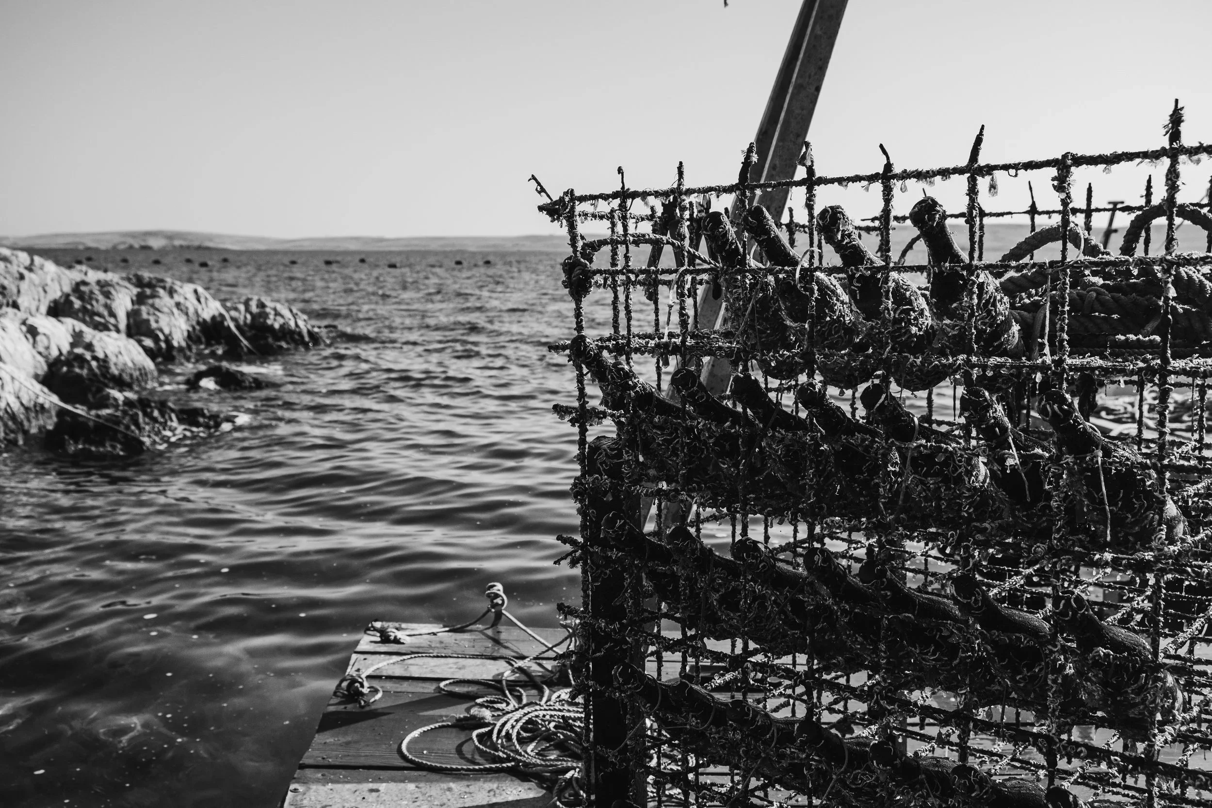 Underwater wine aging.