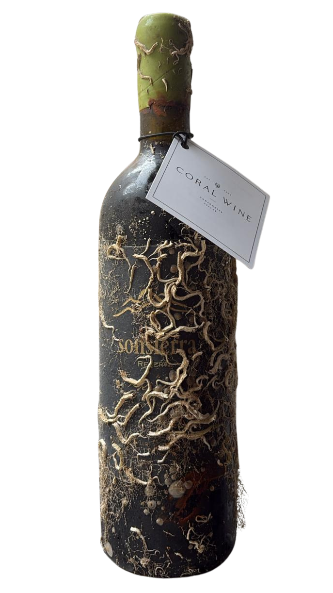 Sea aged Rioja.