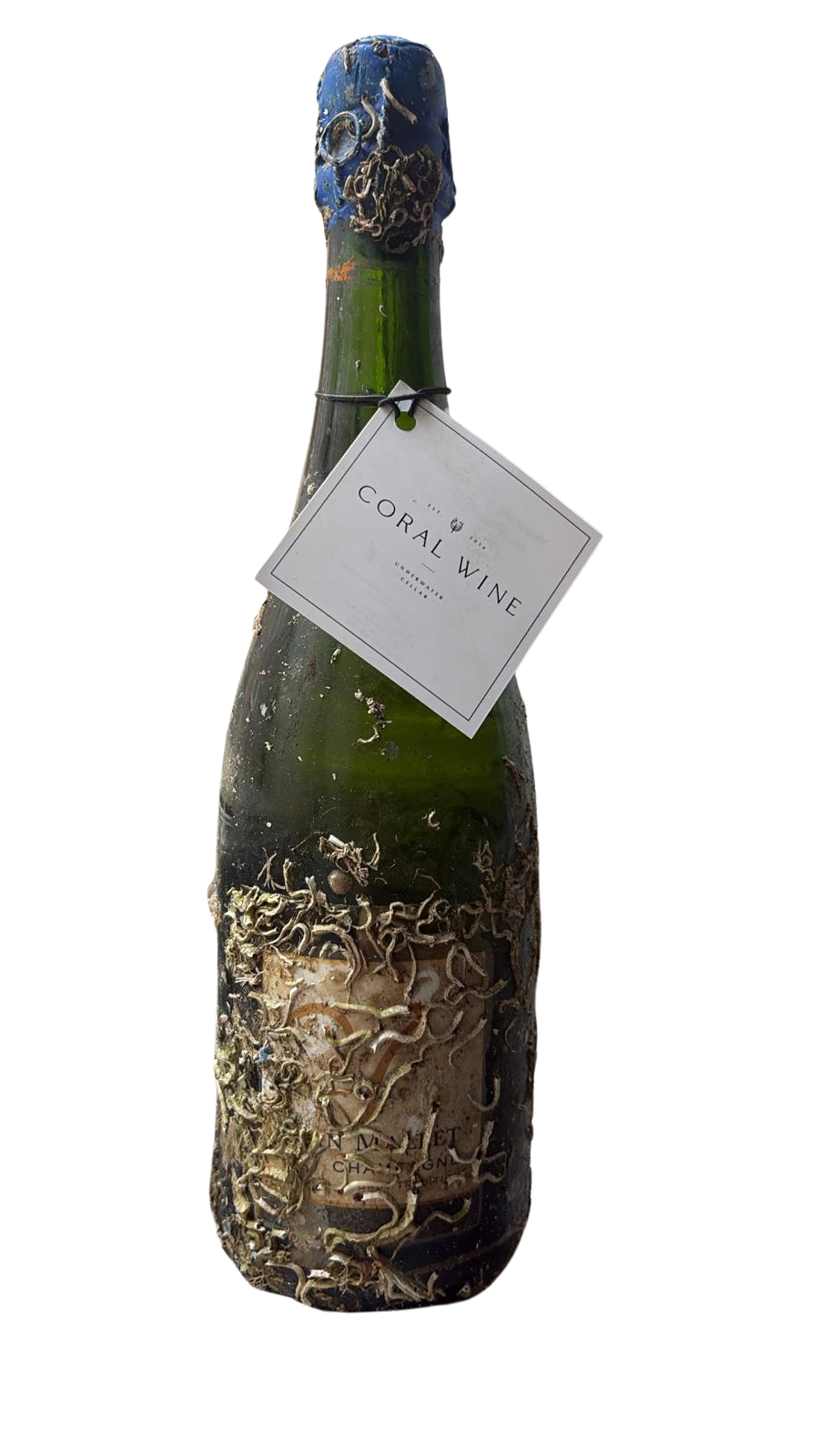 champagne_png.png