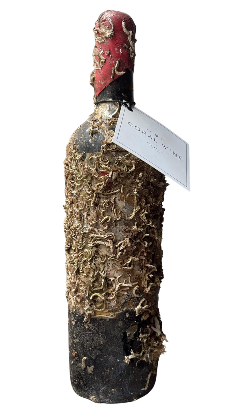 Decomposing wine bottle covered in mold and mold spores, with a Coral Wine tag attached.