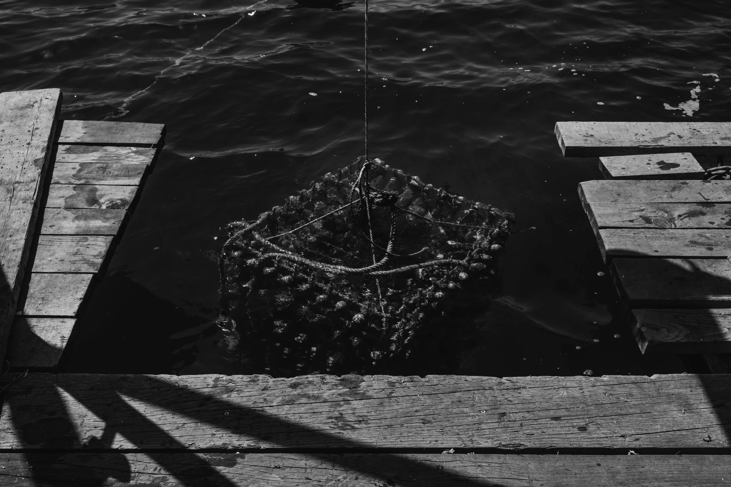 Aging wine under the sea.