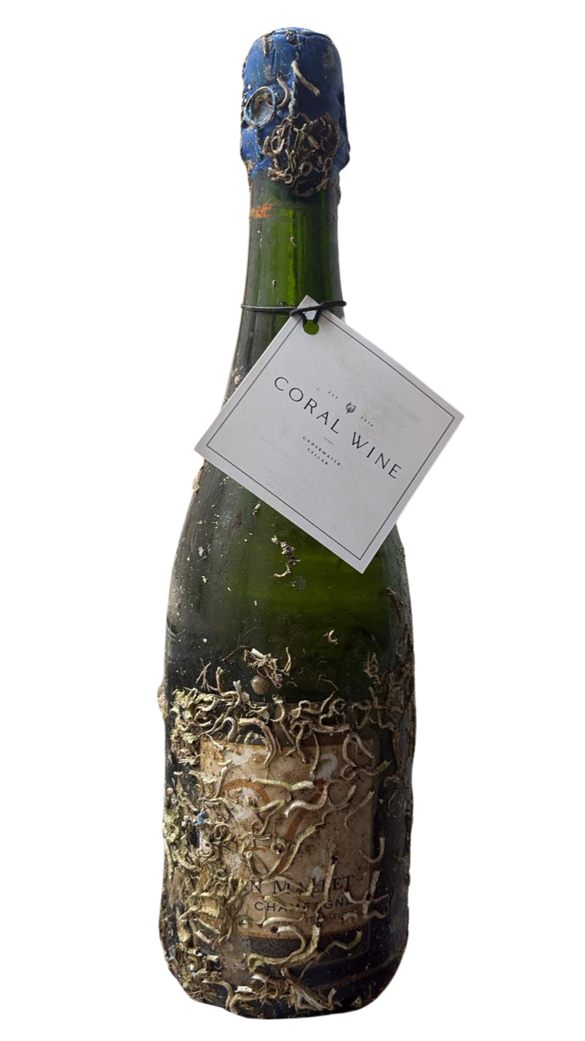Champagne aged under the sea. Sea aged Champagne.