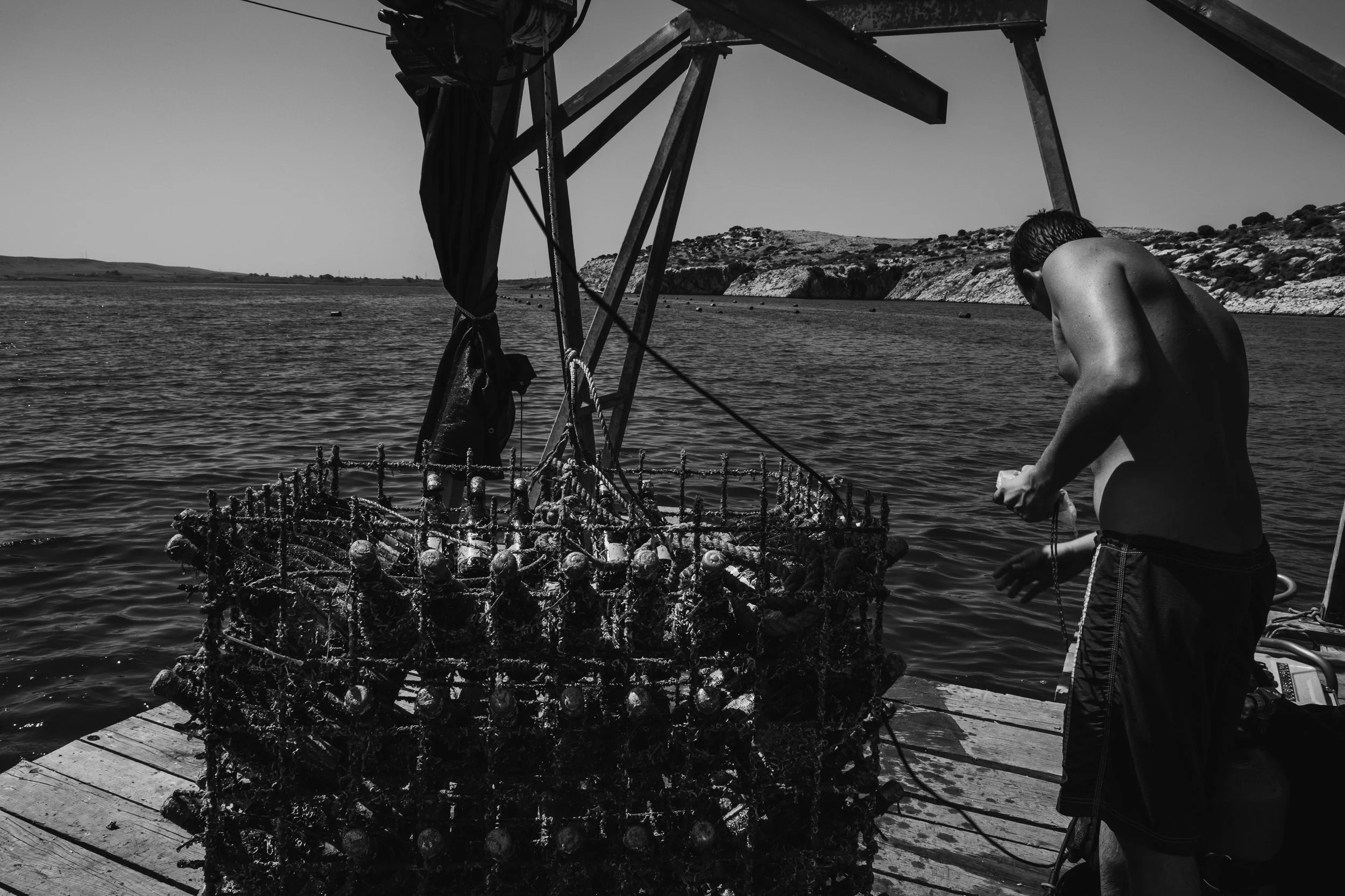 Wines submerged in the sea.