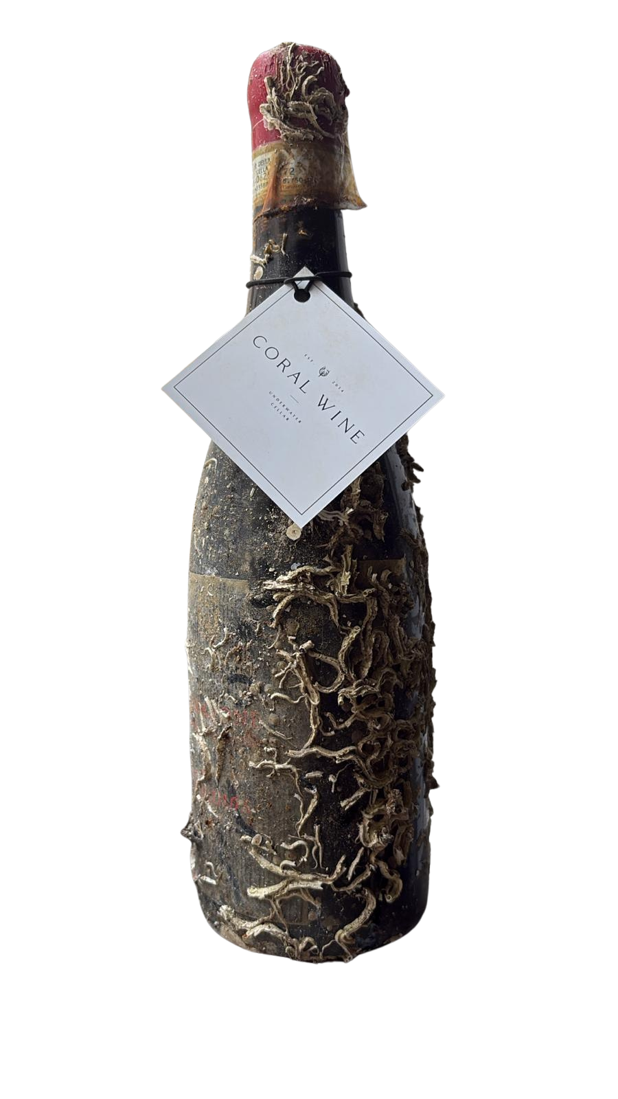 Amarone Phanos - Villa Canestrari