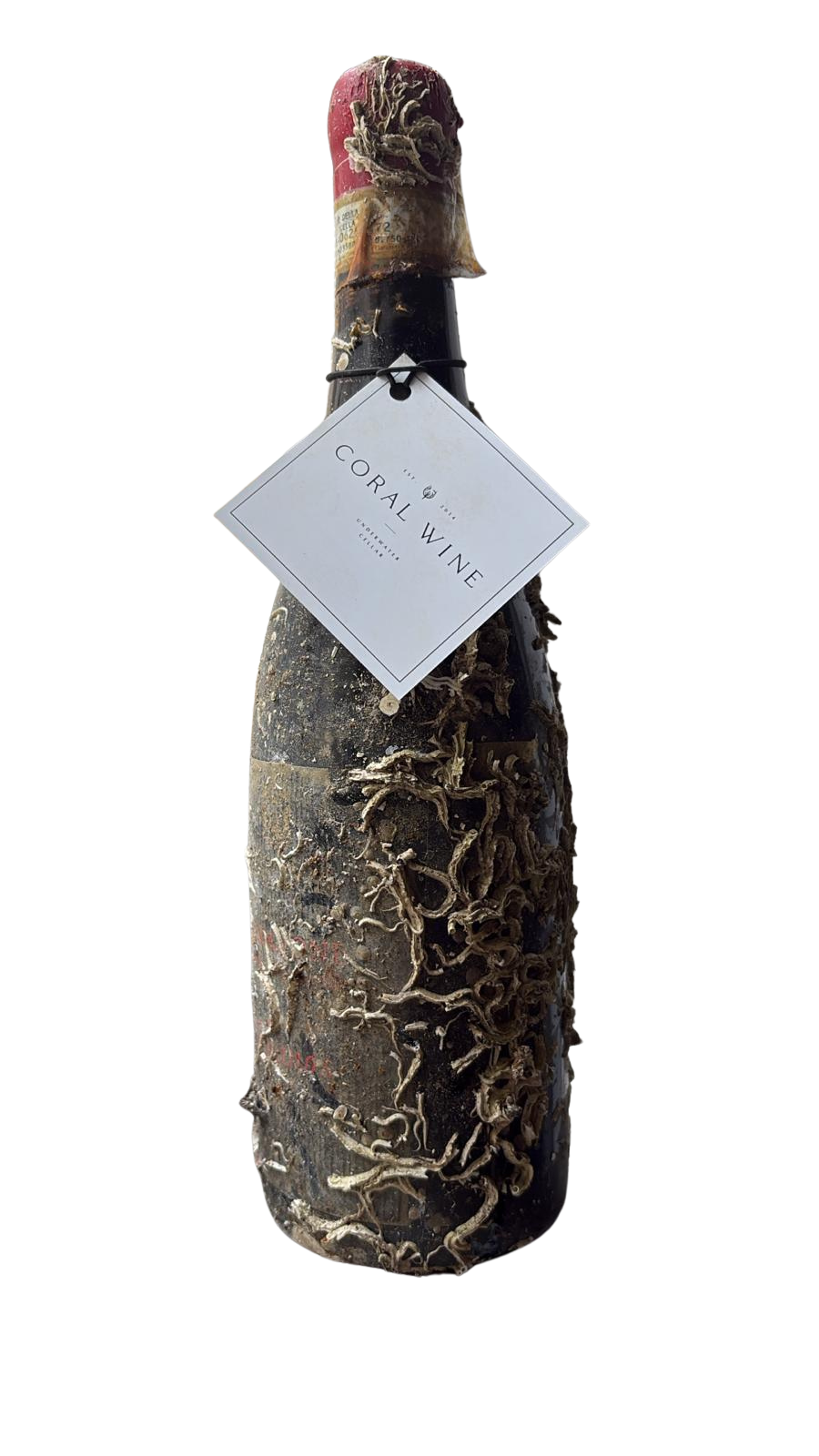 amarone_png.png