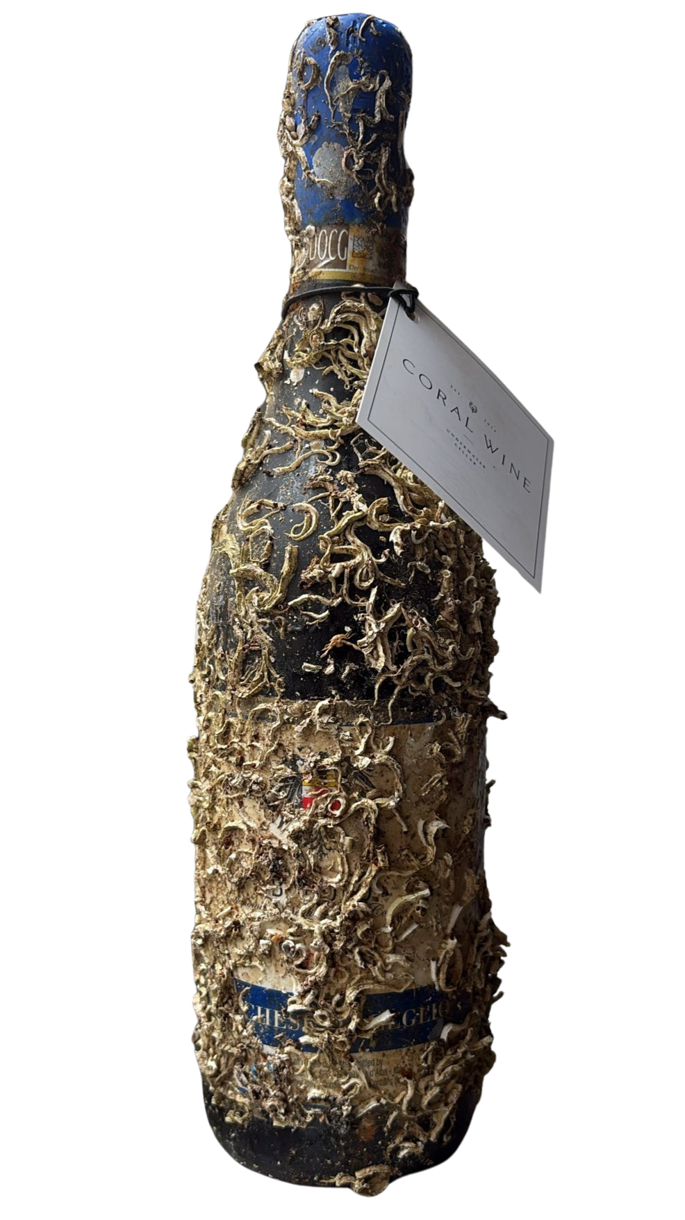 Barolo aged under the sea.