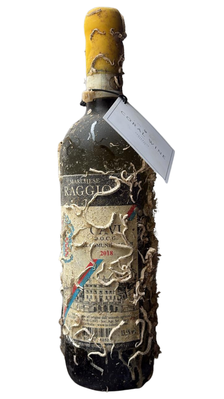 White wine aged under the sea. Sea aged Gavi.