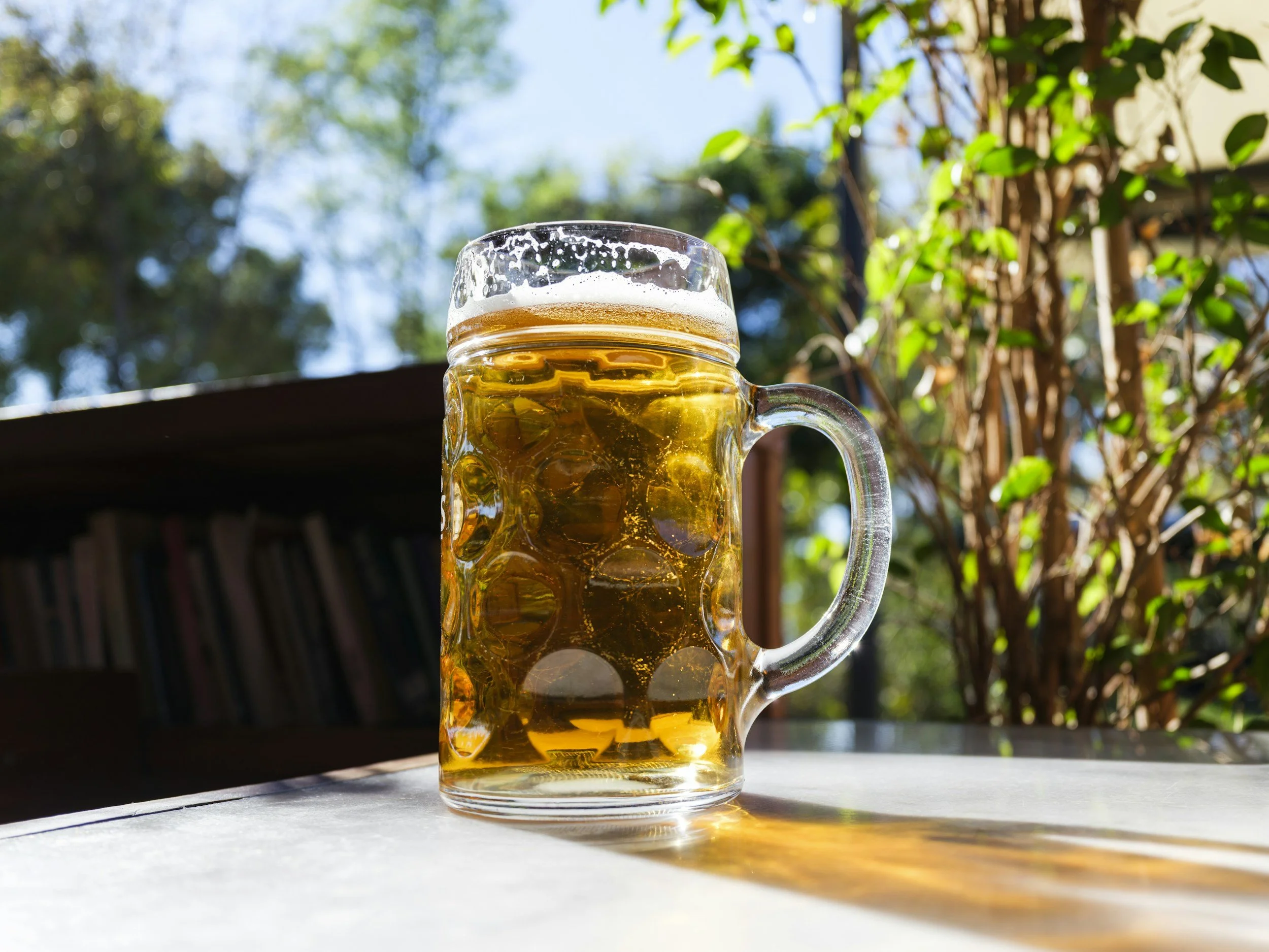 Oktoberfest with Family: Raise a Stein to the Season