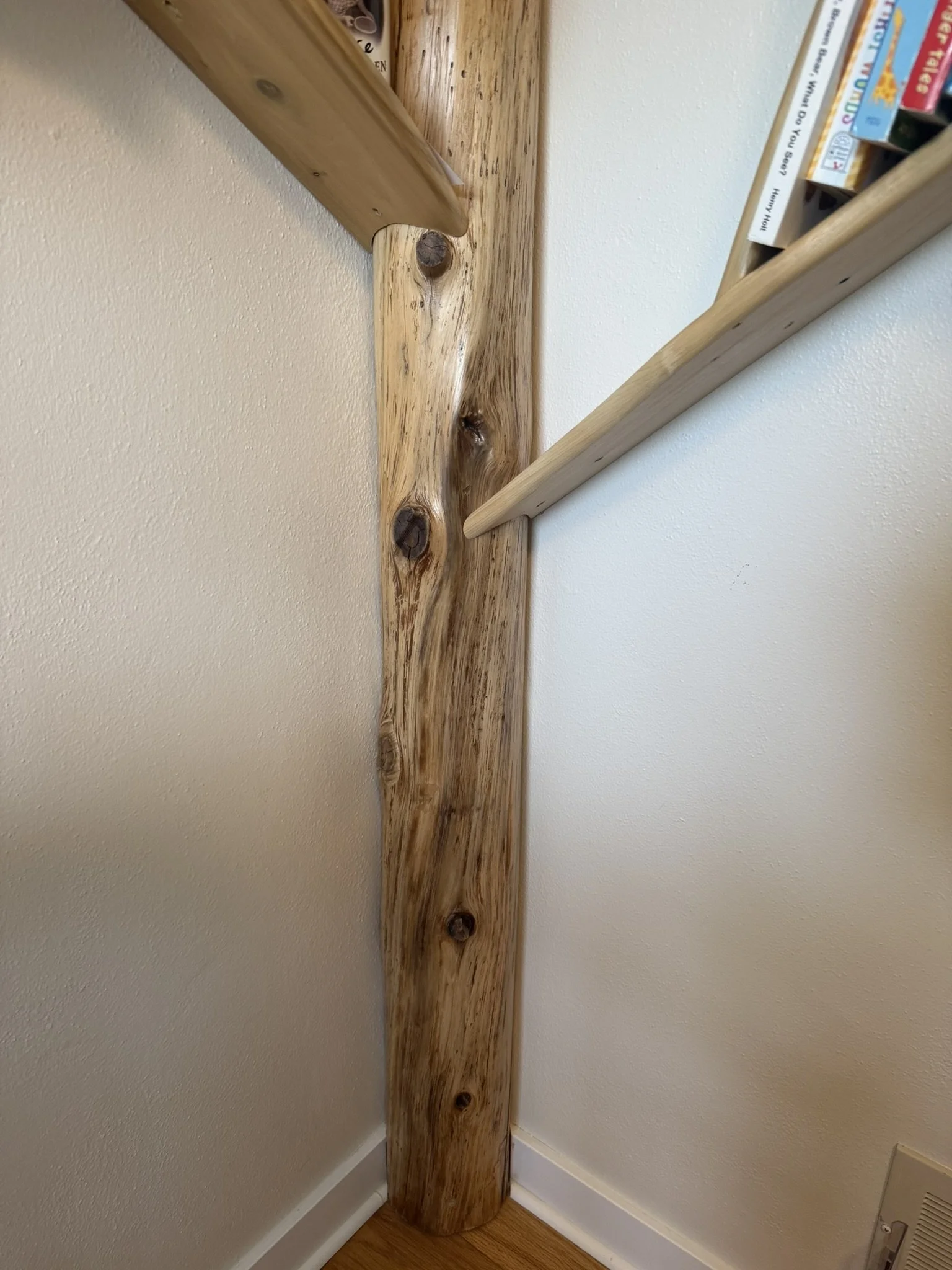 Handmade cedar tree full height corner bookshelf