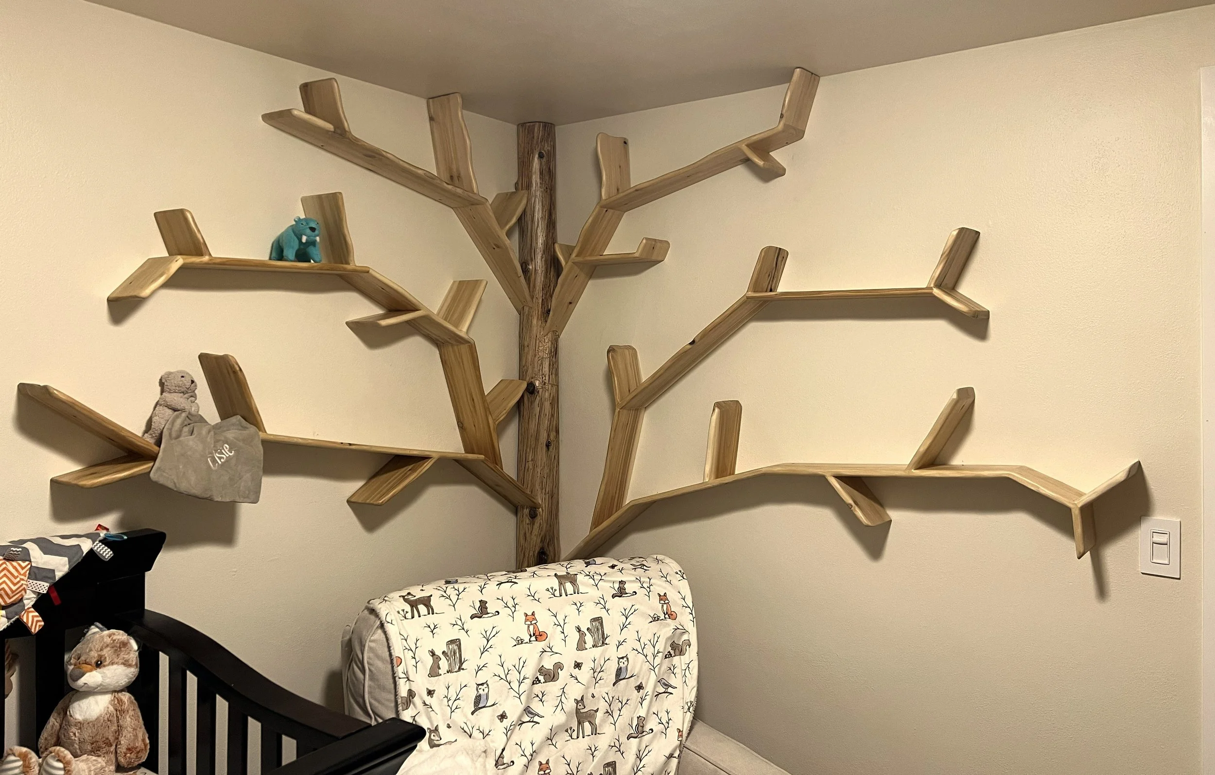 Handmade cedar tree full height corner bookshelf