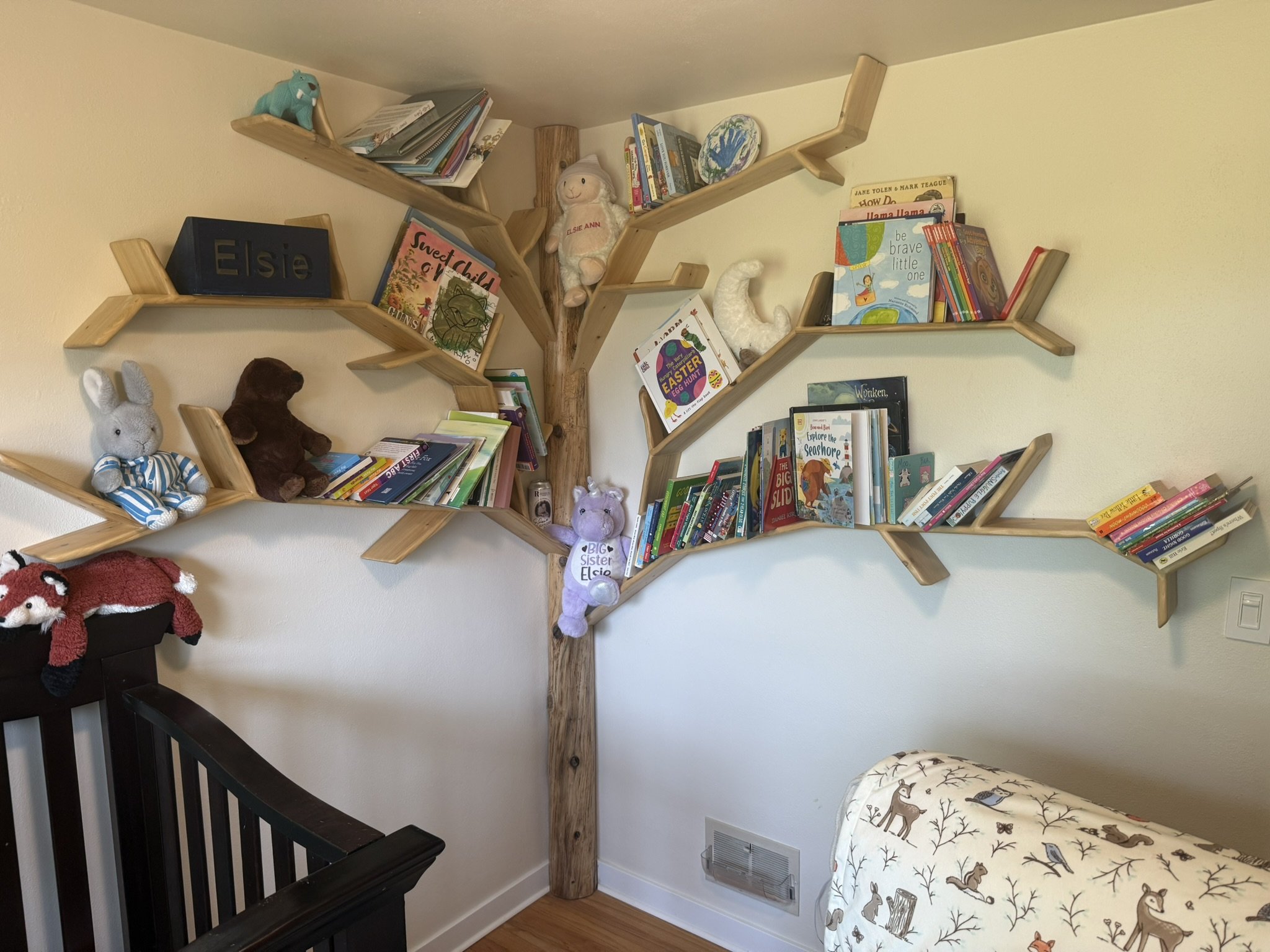 Handmade cedar tree full height corner bookshelf