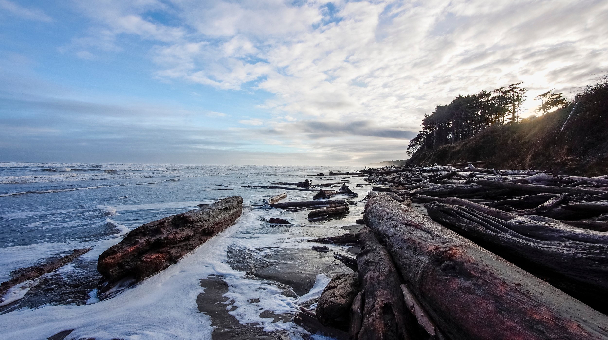 A beach with driftwood and logs scattered along the shoreline, with waves washing over them. In the background, there is a cliff with trees and a partly cloudy sky.