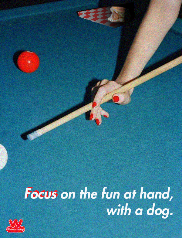 Designed for one of the campaign options.