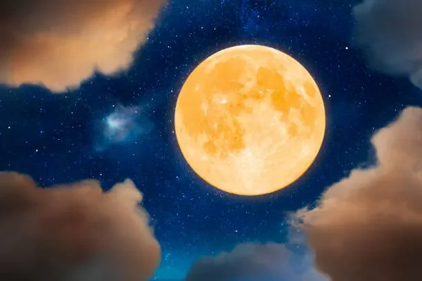 Full Moon Market