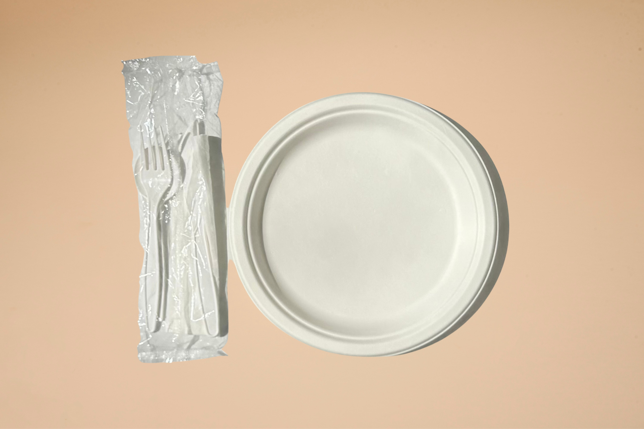 Sugarcane Plate & Cutlery Kit