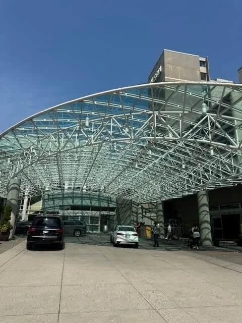 Curved glass canopy