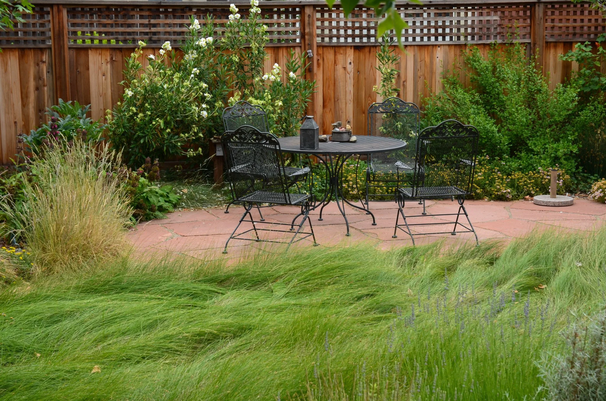California native lawn alternative meadow grass around a flagstone patio in a residential garden with a black metal table and chairs.