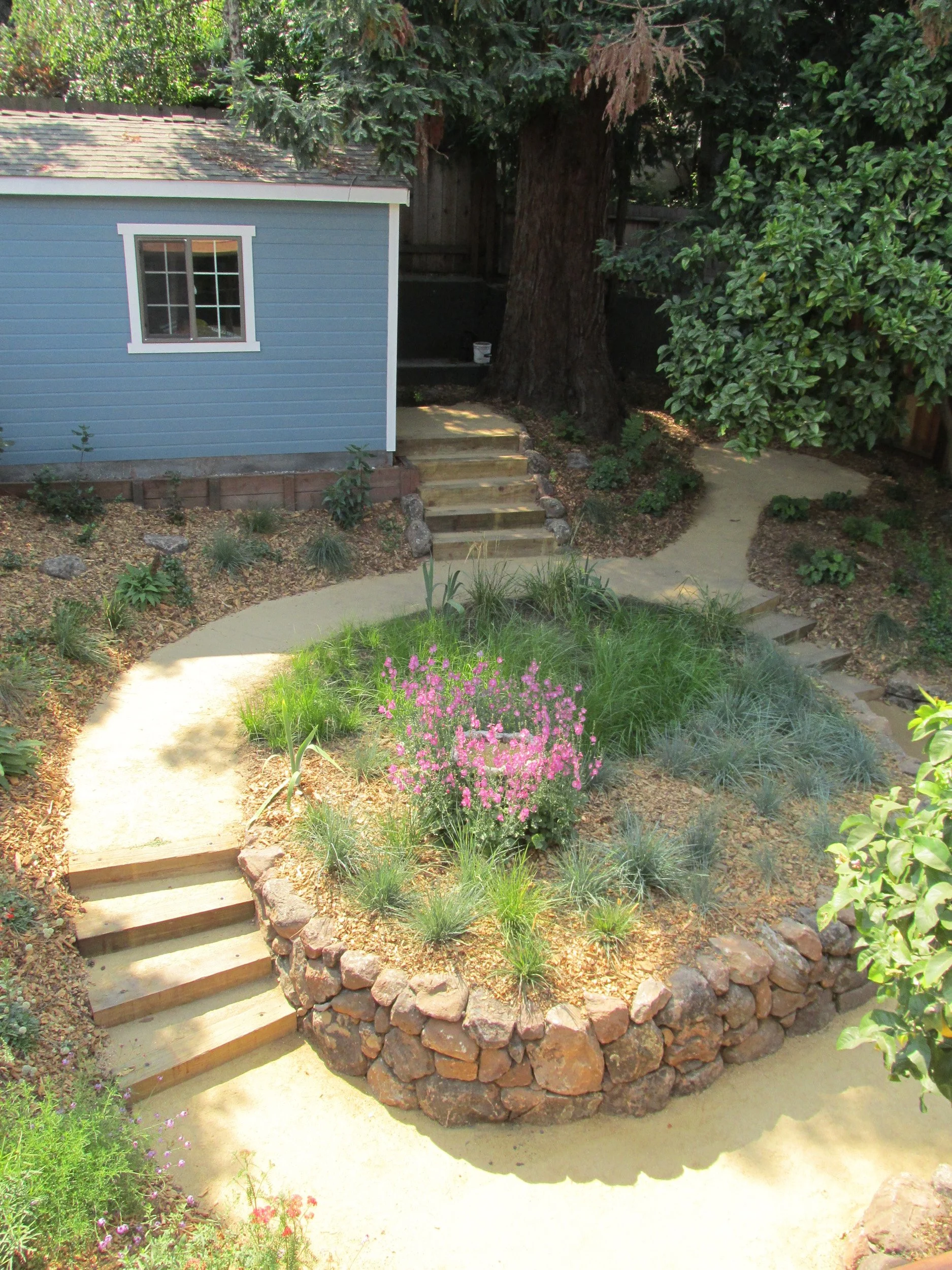 A california native meadow grass wildflower circular garden with stone wall and timber tie steps with a tan decomposed granite pathway.