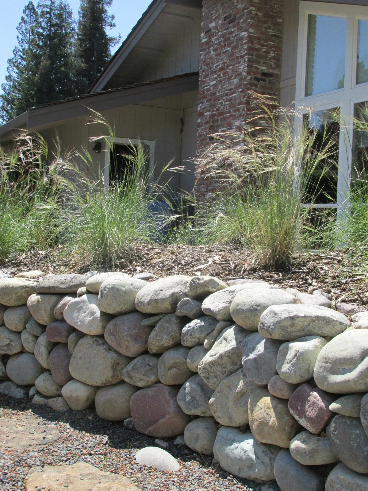 A dry stacked stone wall planted with California native bunch grass.