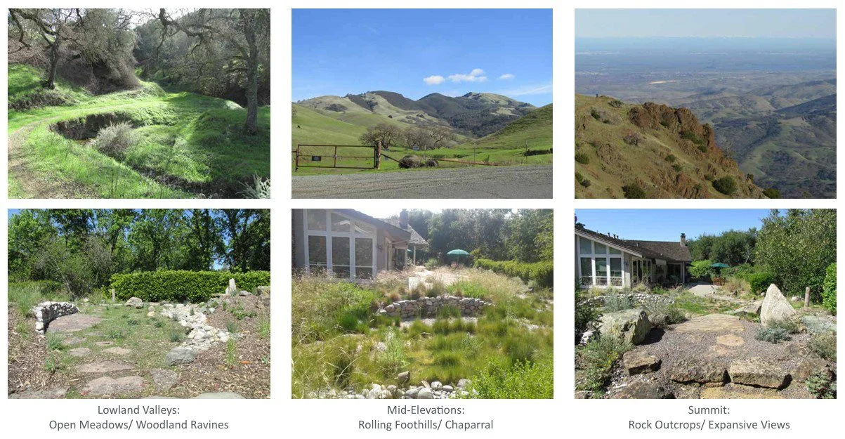 Conceptual inspiration images of the progression of hiking up Mt. Diablo, from the foothills to the summit, and how each relates to the completed garden design.