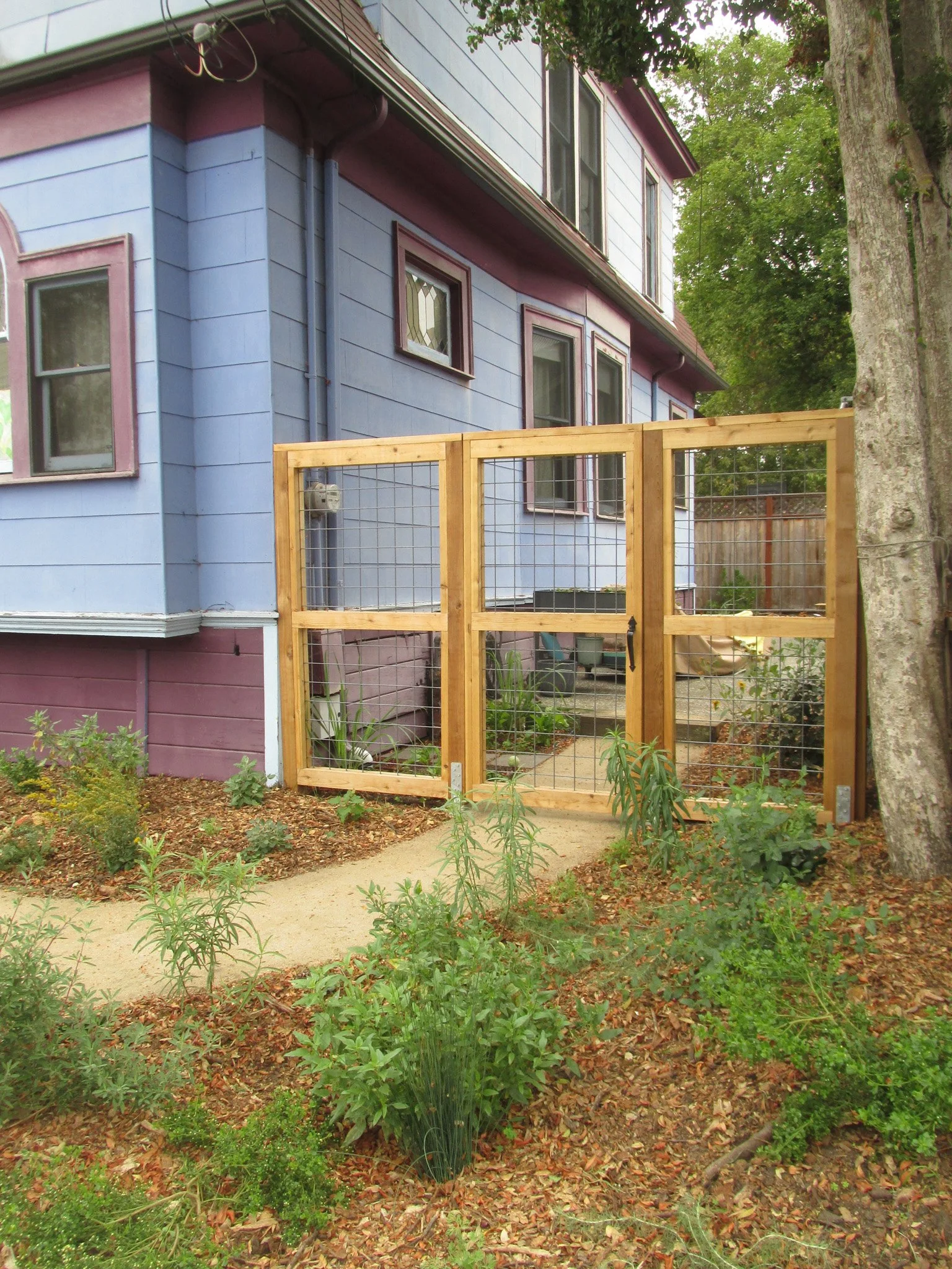 A wooden fence and gate with hog wire infill in a california native plant garden