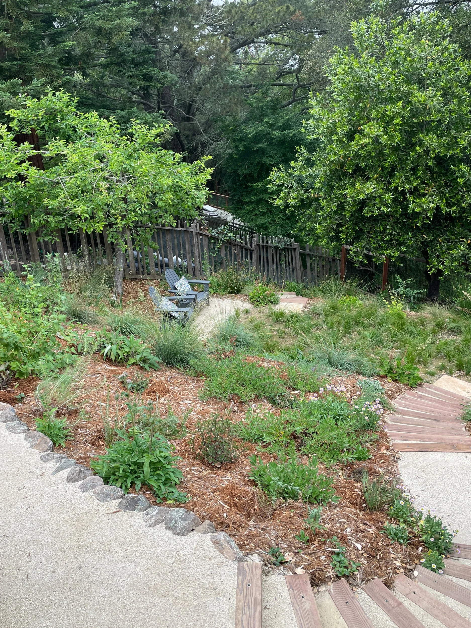 Hillside garden landscape design timber tie steps decomposed granite pathway meadow california native plants east bay Oakland slope pollinator bird ecology