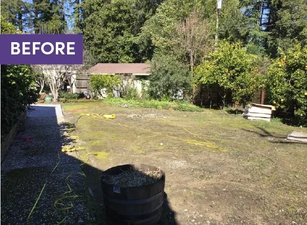 Before photo of a back garden with lawn in Danville, California East Bay Inland