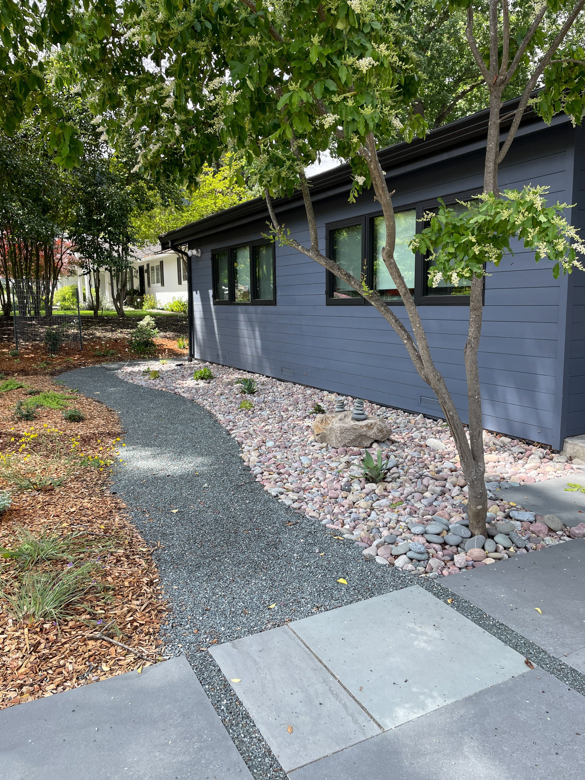 Front garden landscape design bluestone pavers modern paving pathway meadow california native plants east bay firewise waterwise bioswale rain garden