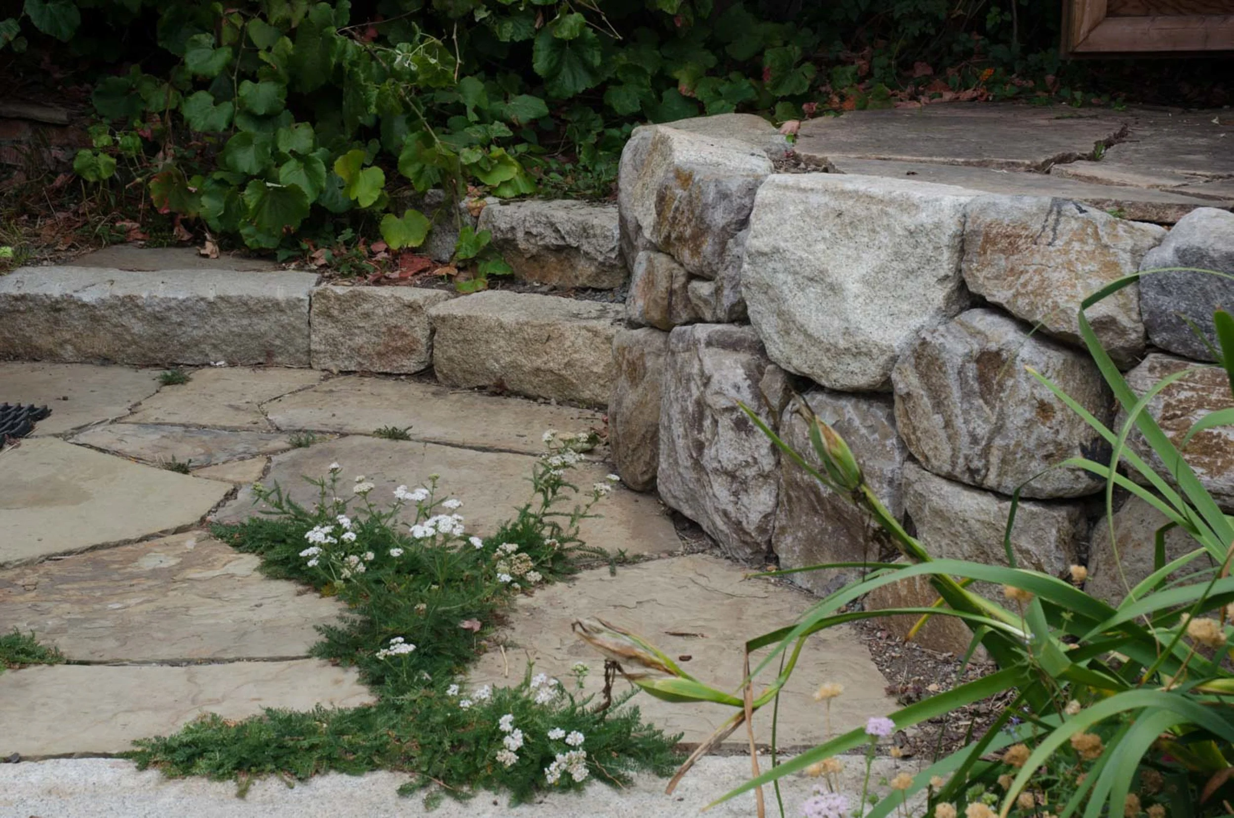 Dry stacked stone wall in front of a tan natural flagstone patio with groundcover joints.